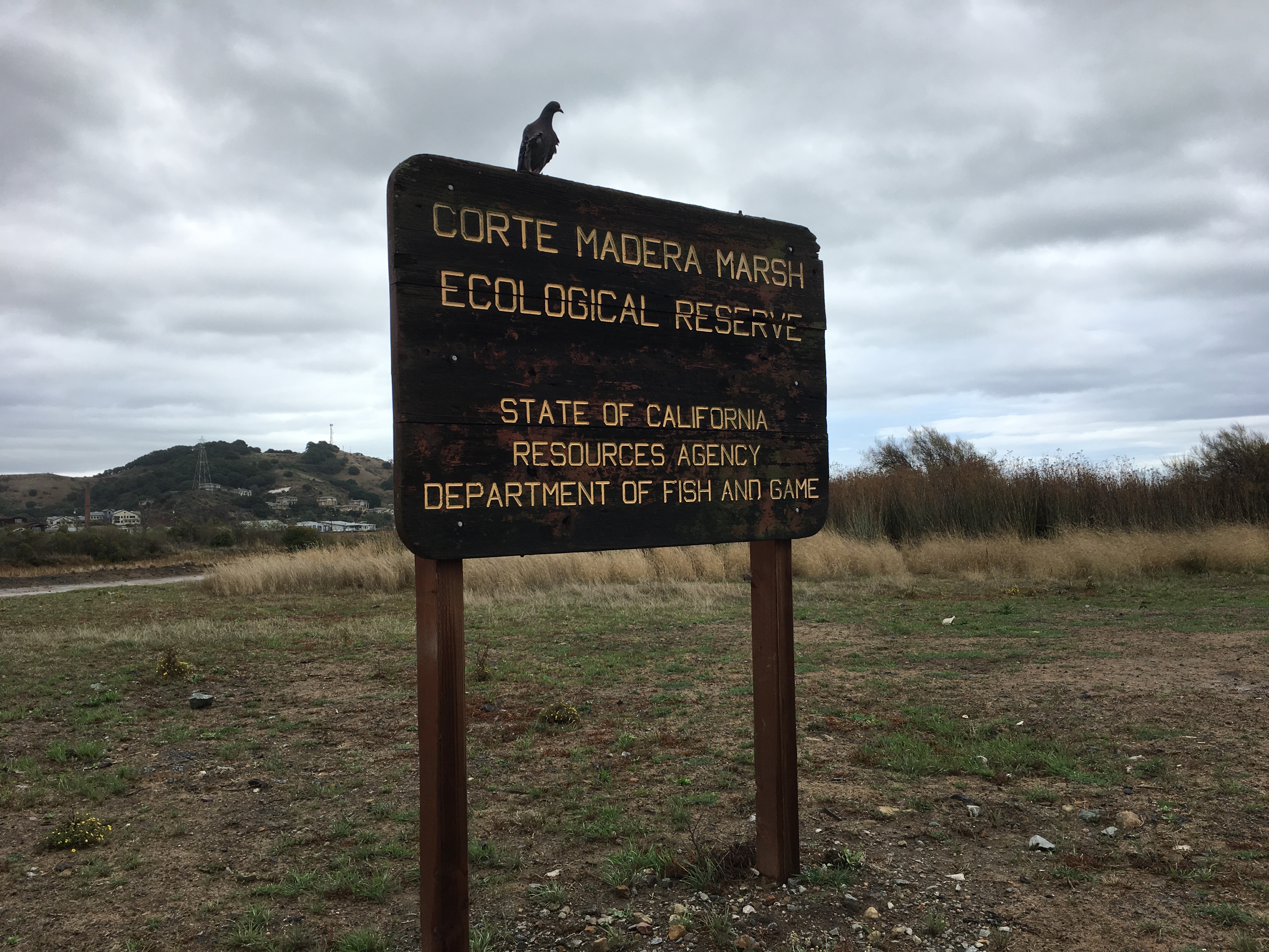 Corte Madera Marsh sign