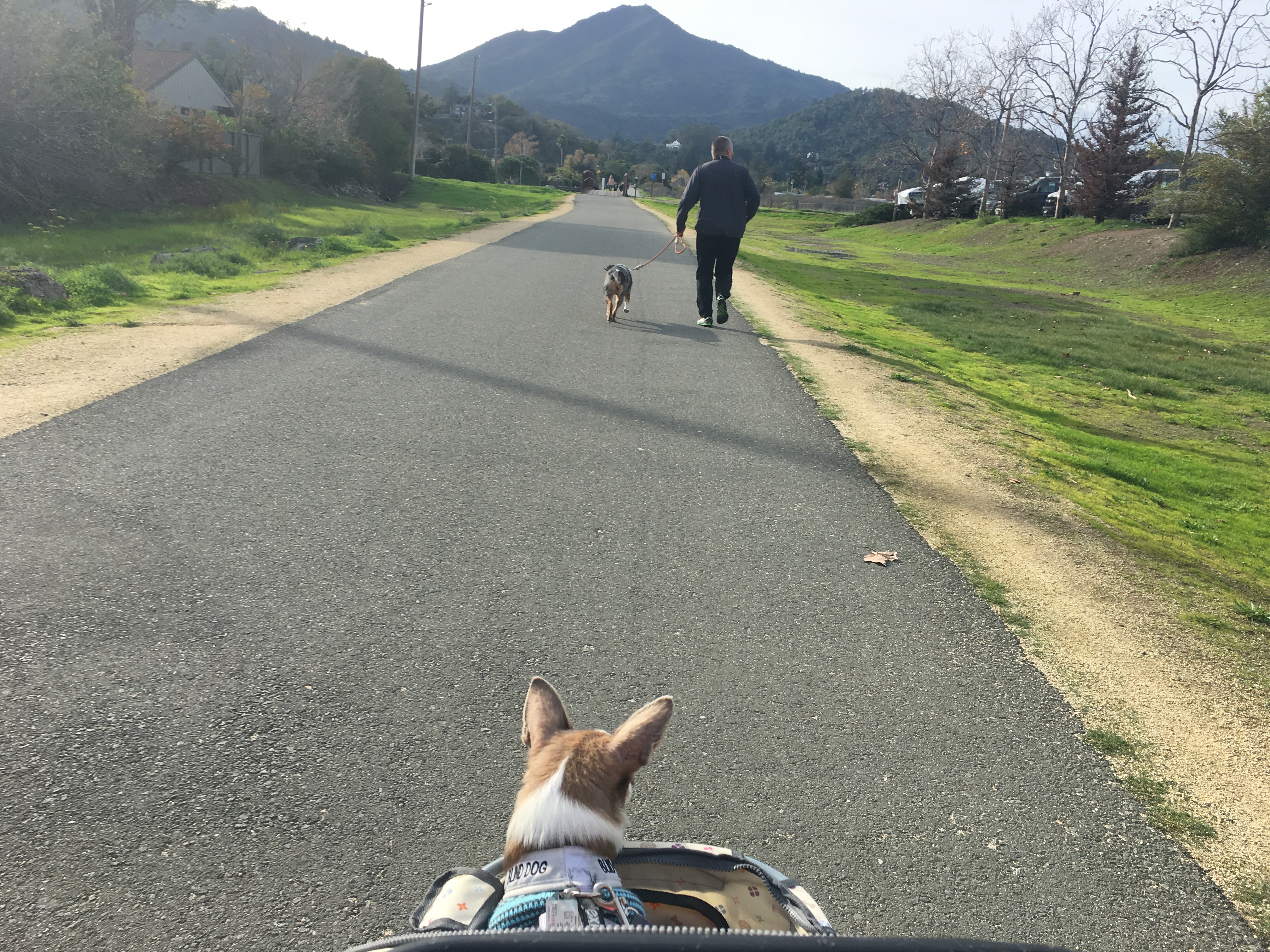 Everyone out for a jog