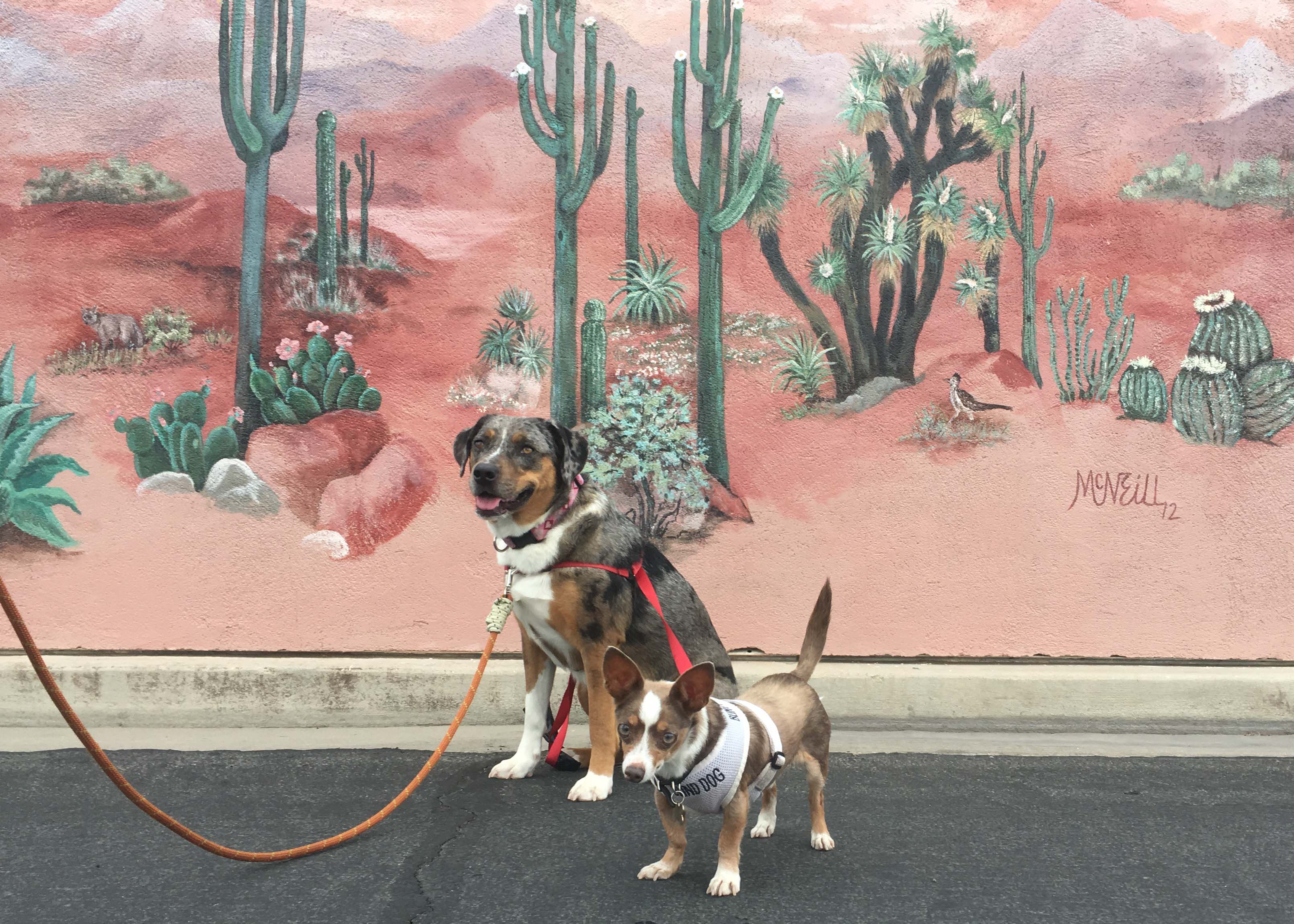 Lily and Stimpy posing in front of a mural