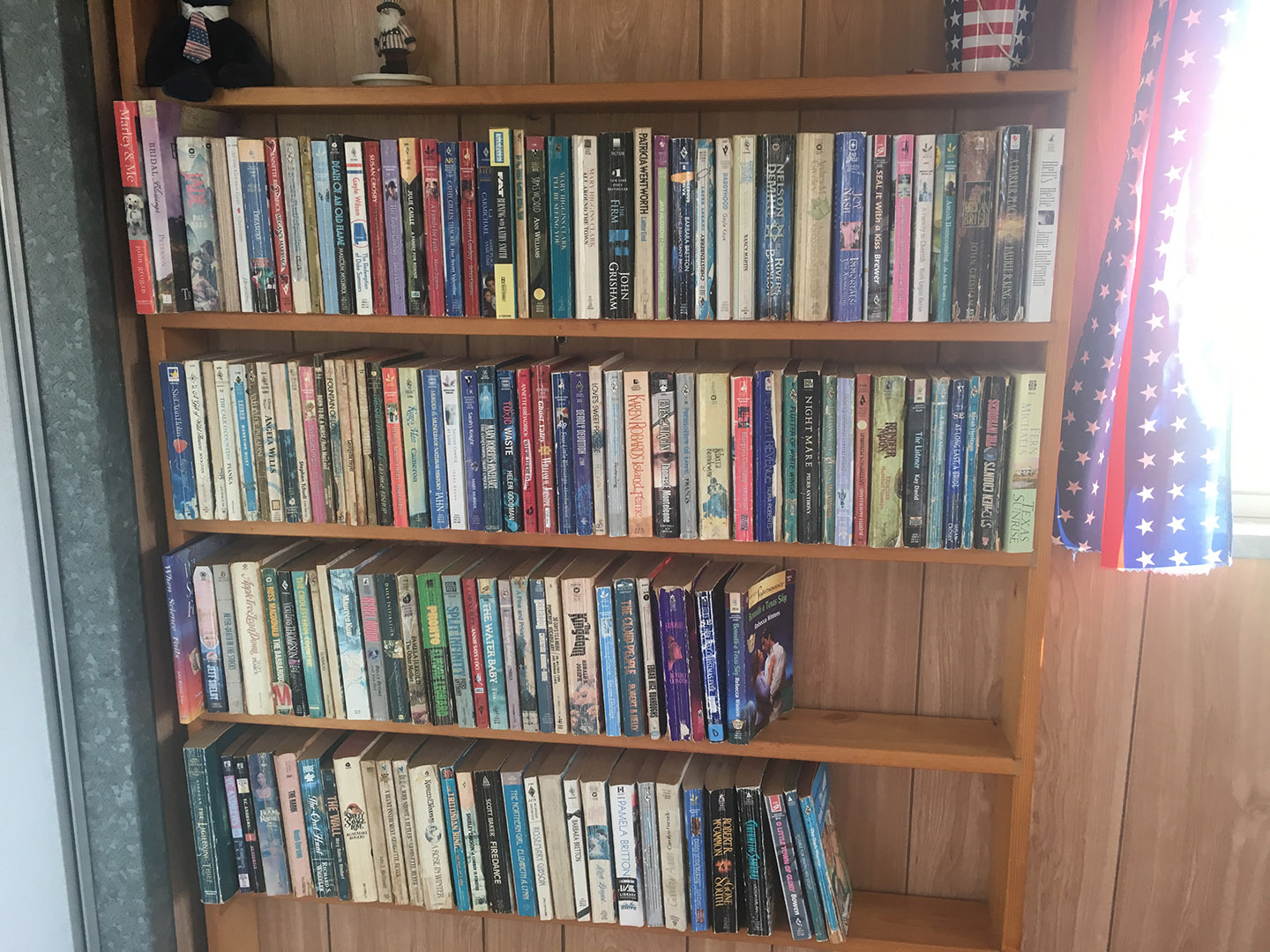 Library shelf in the laundry