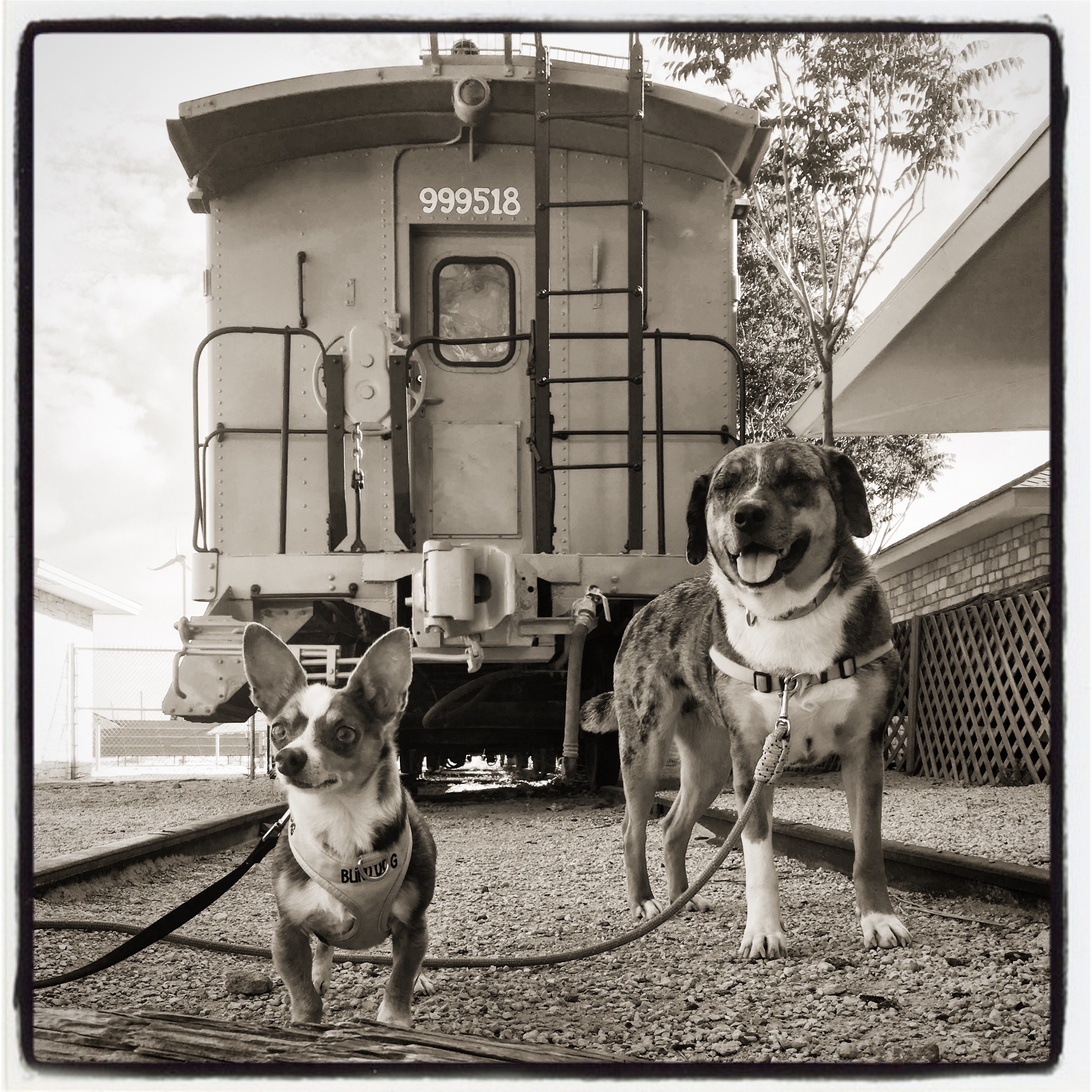 Fort Stockton train