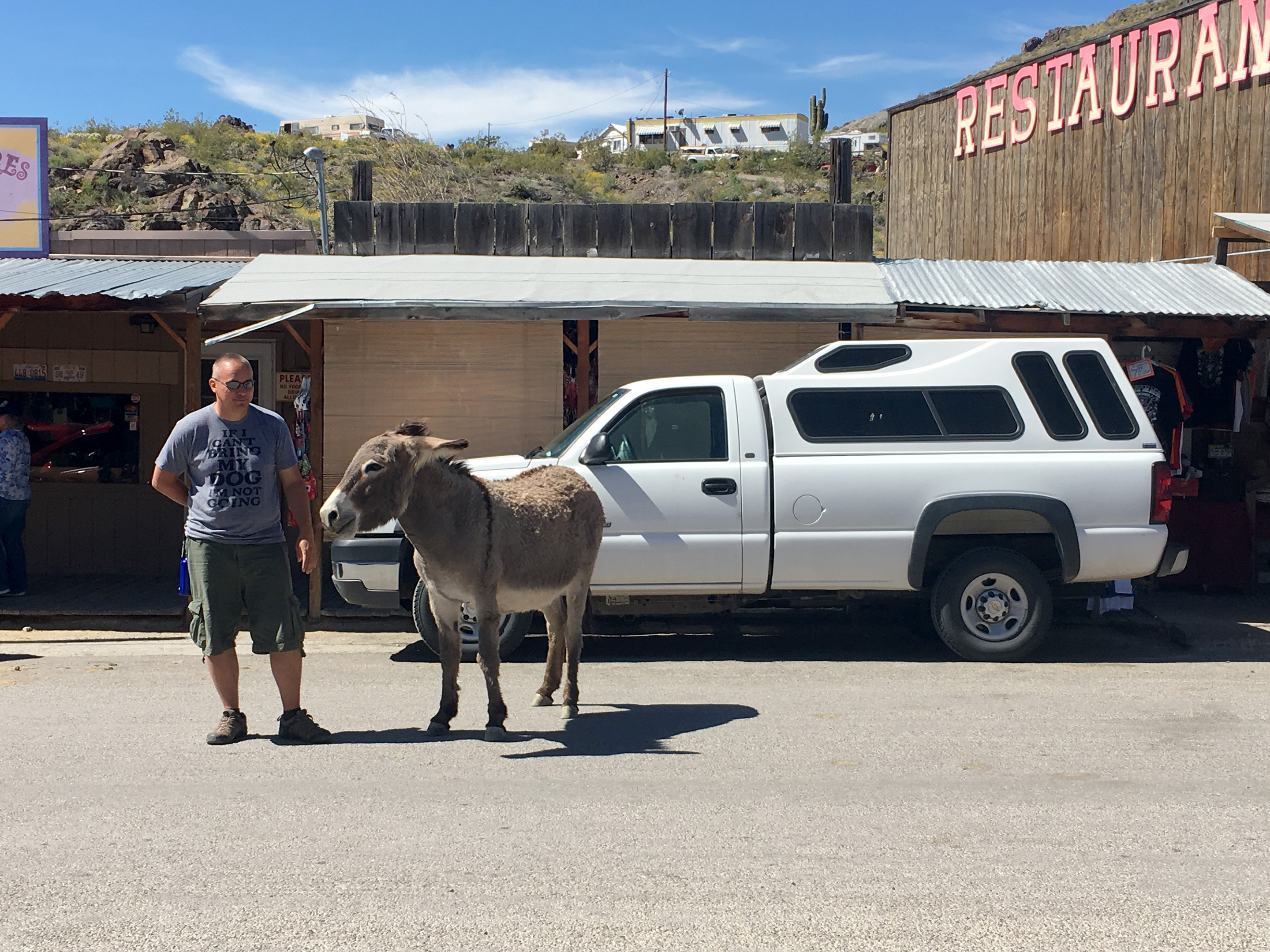 Burro wants food