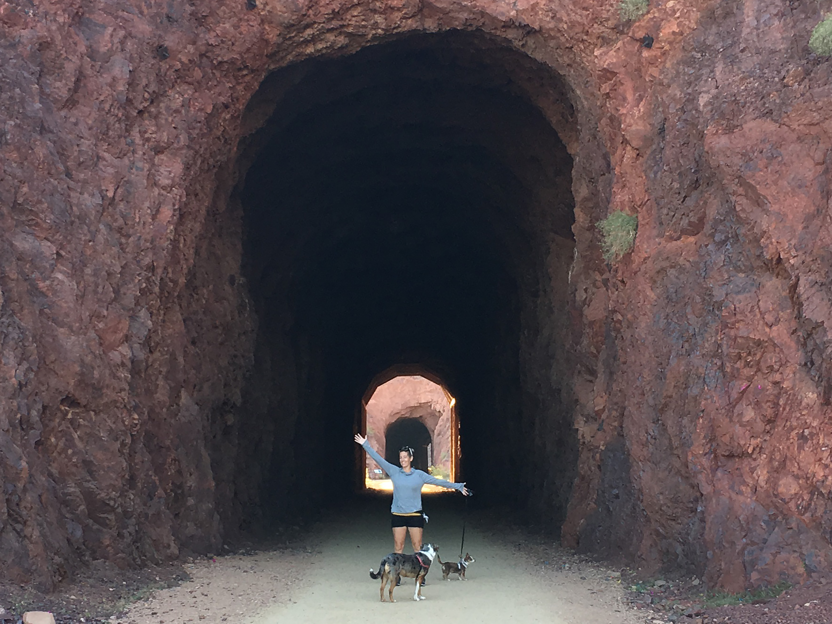 Big tunnel or miniature Ane? You be the judge.