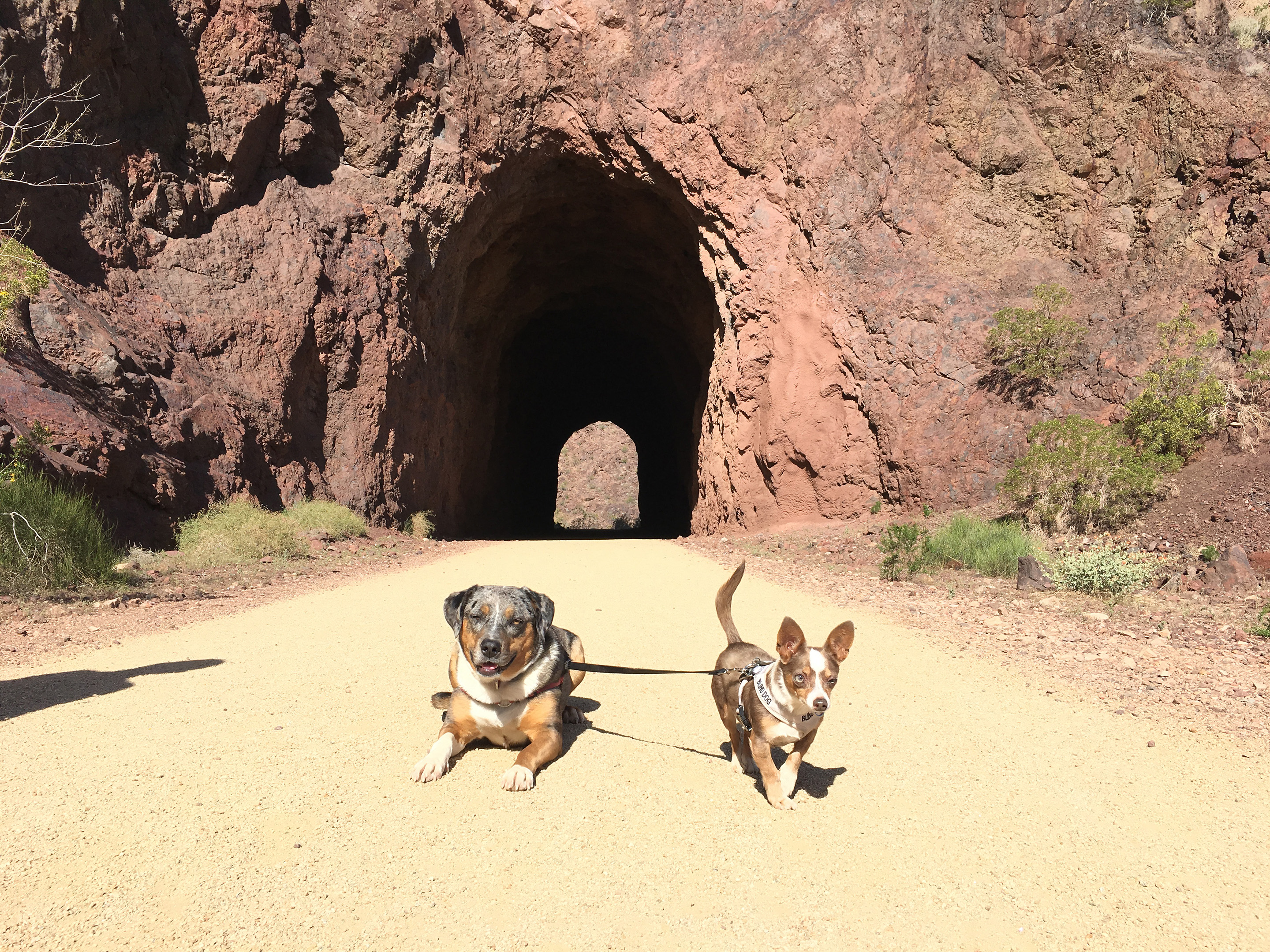 Lily & Stimpy in front of a tunnel