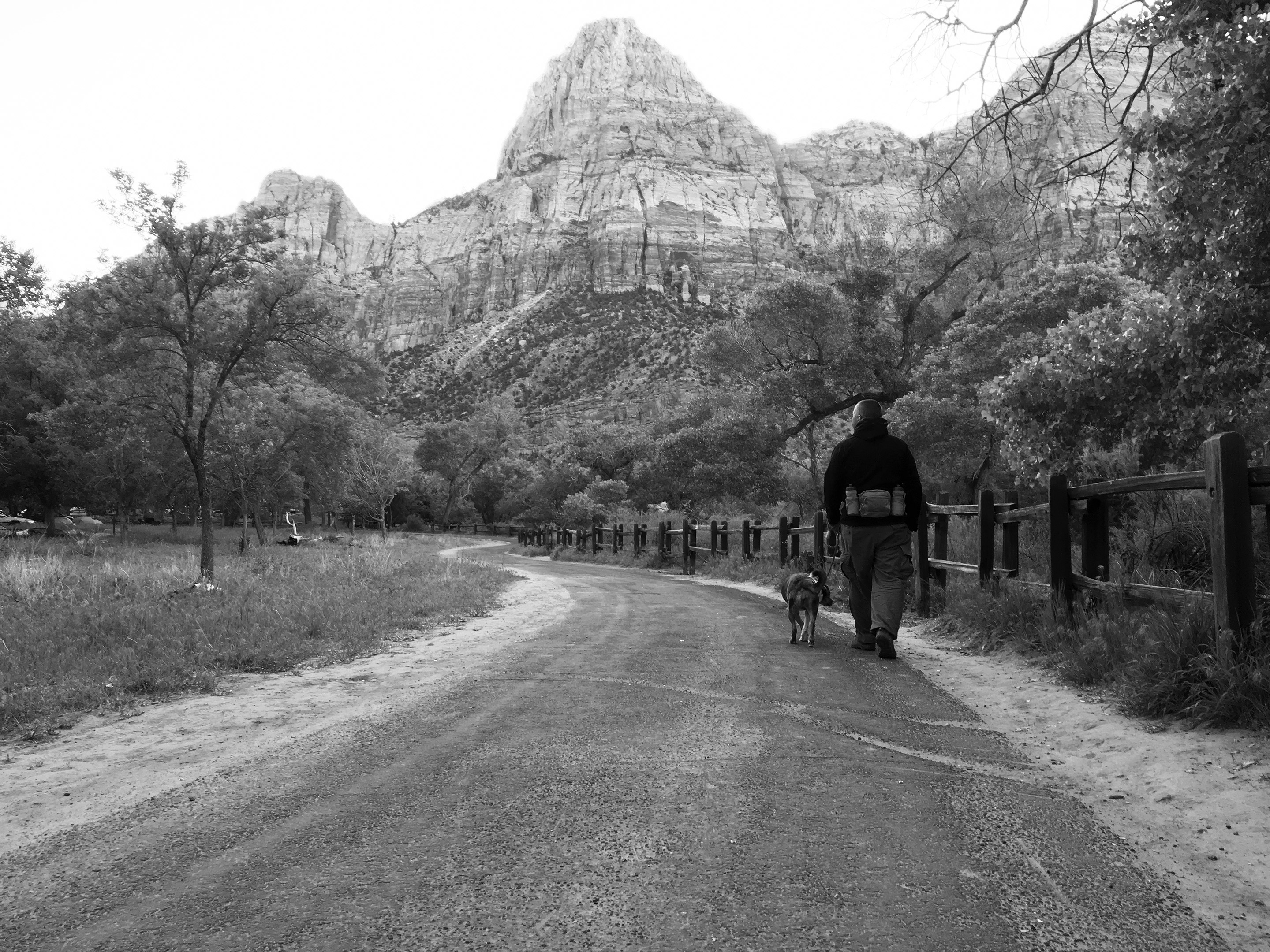 Chilly morning at Zion