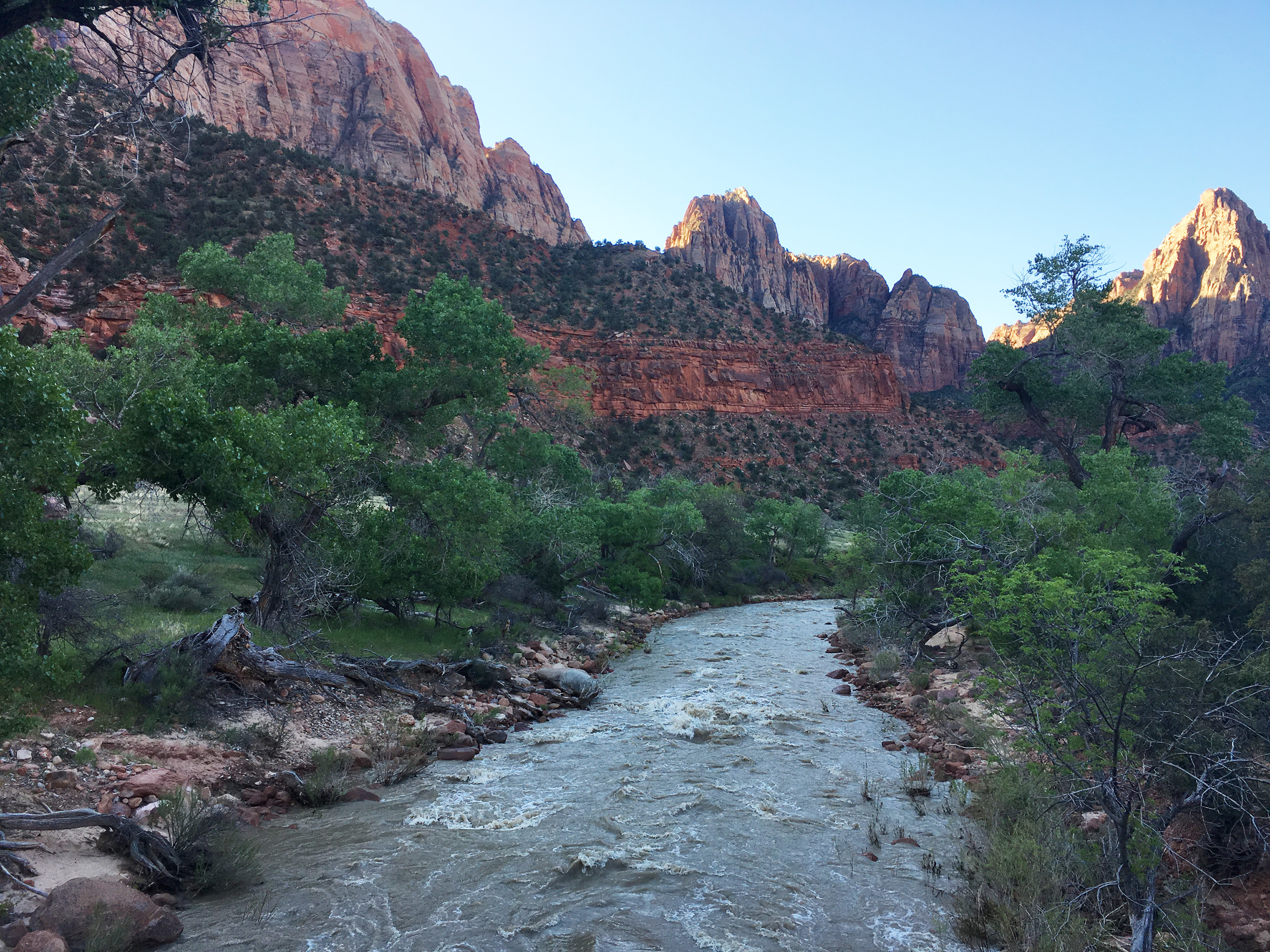 Virgin River in Zion