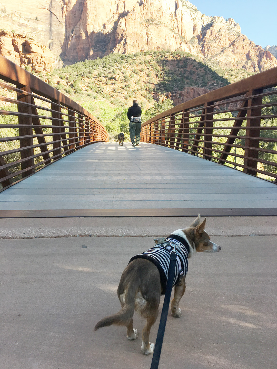 Zion national 2025 park dog boarding