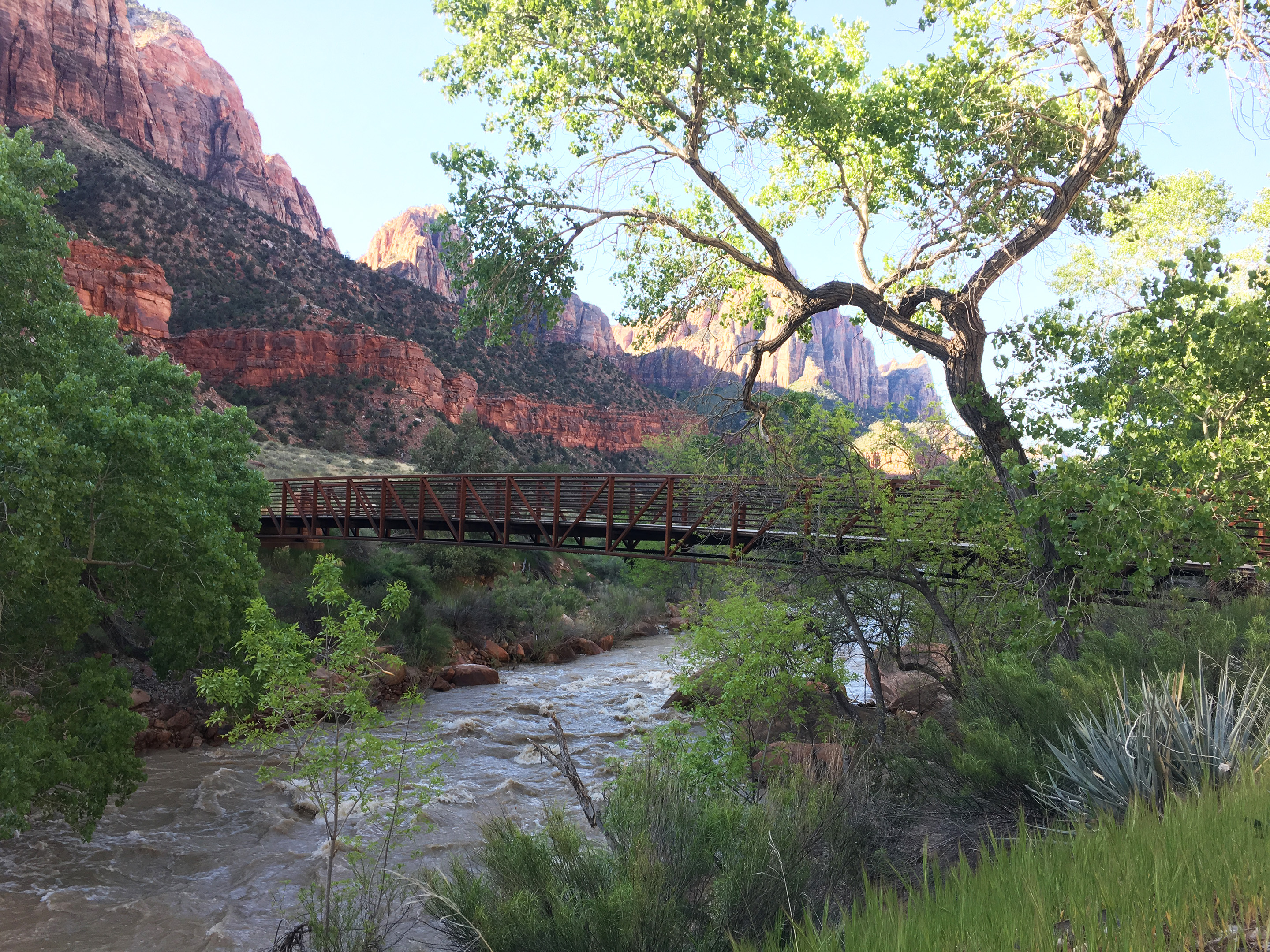 Bridge crossing the Virgin river