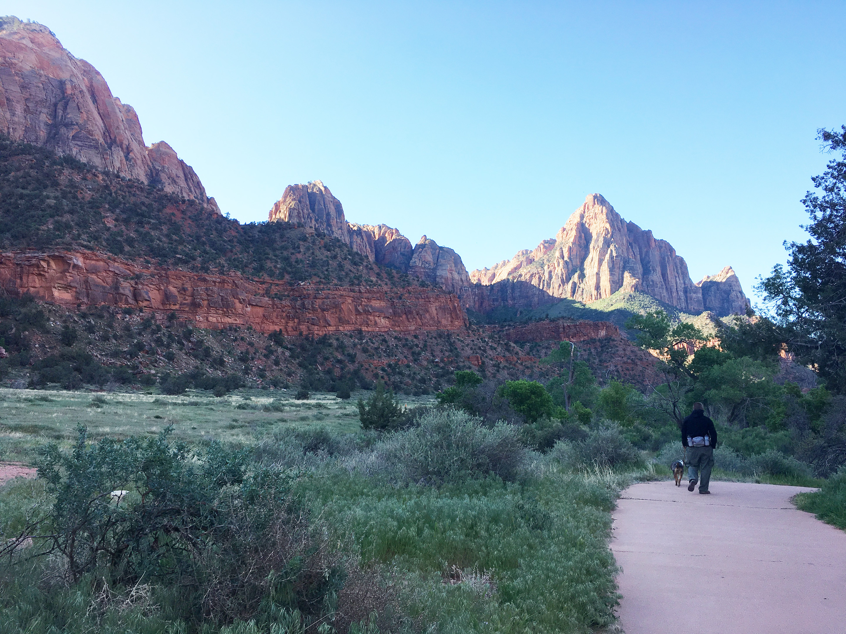 Empty trail at Zion