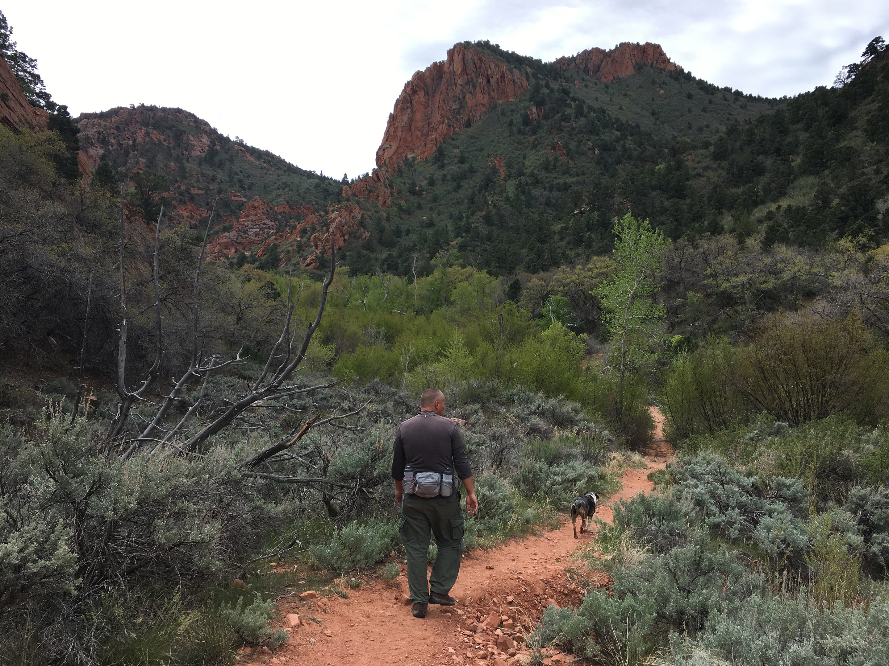 Hiking Spring Creek Canyon