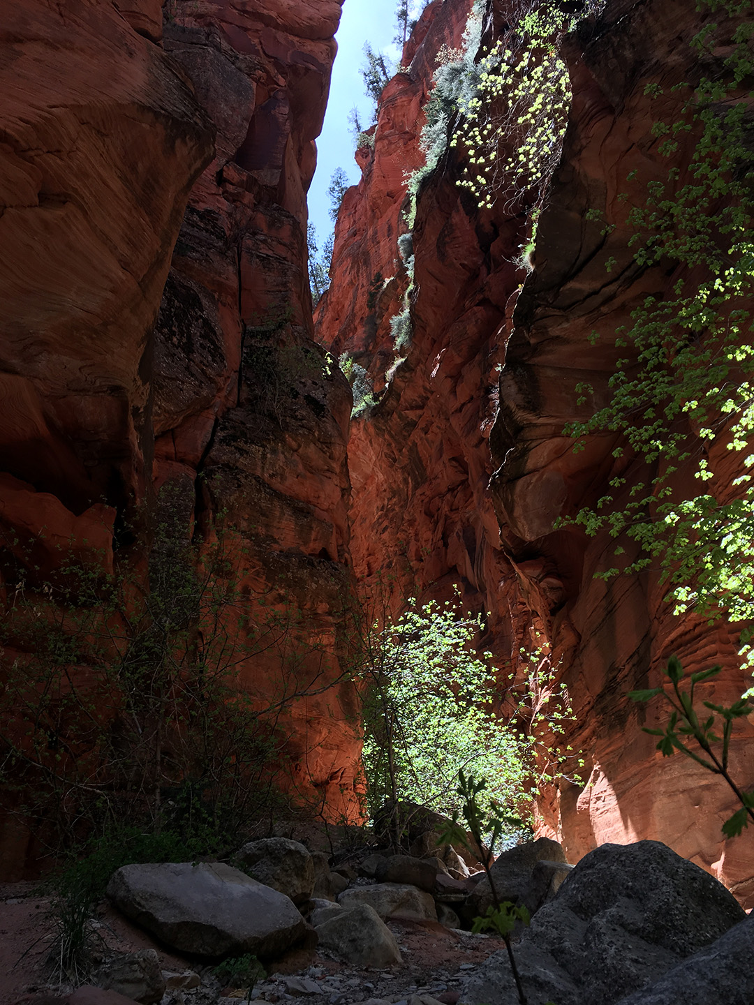 Slot Canyon