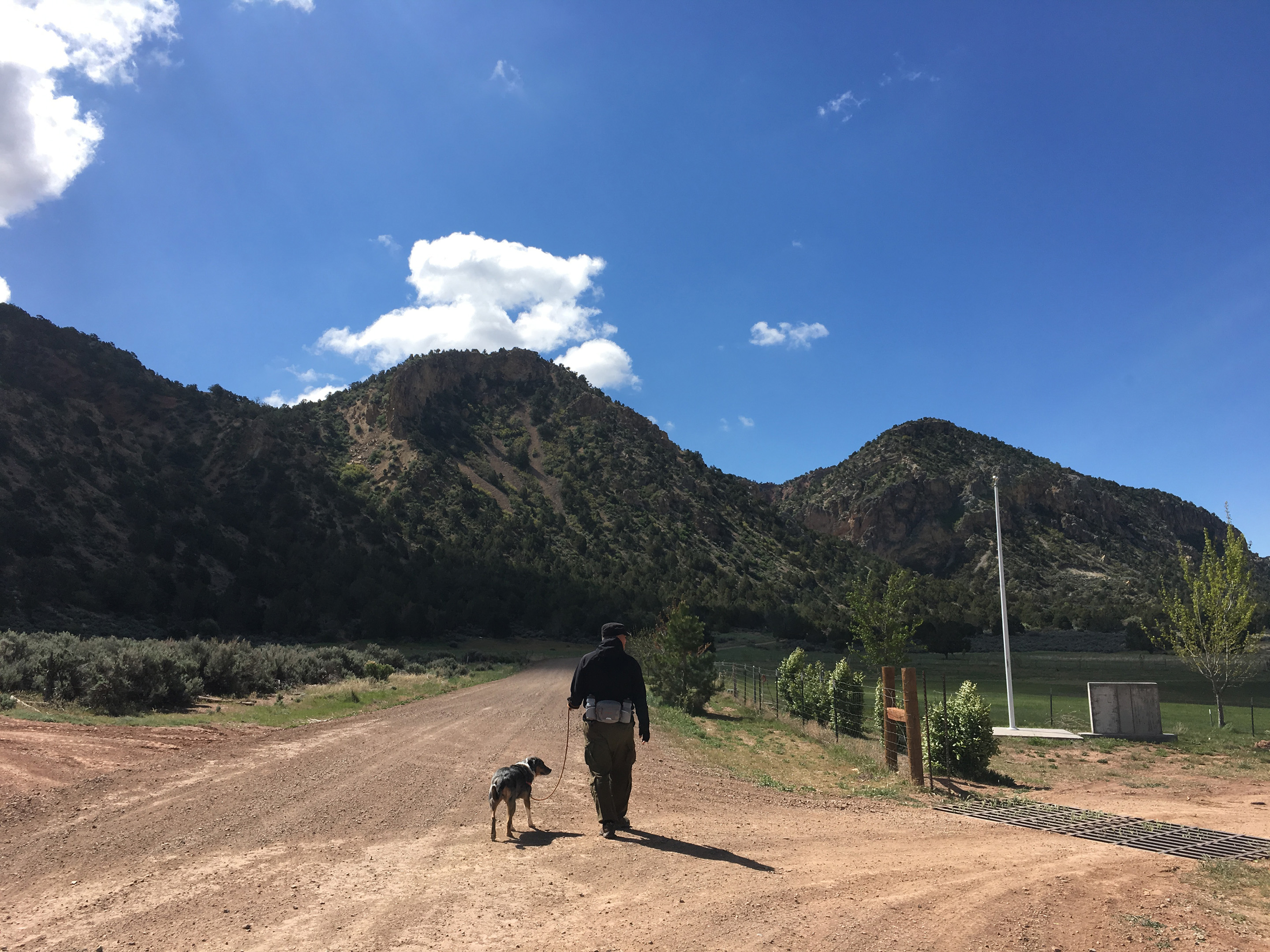 Walking on the road