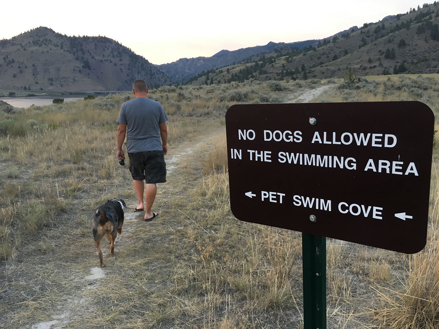 Off-leash dog exercise area