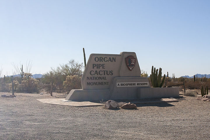 Organ Pipe Cactus National Monument Day Trip With Dogs