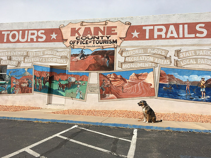 Mural at the Kane County Information Center