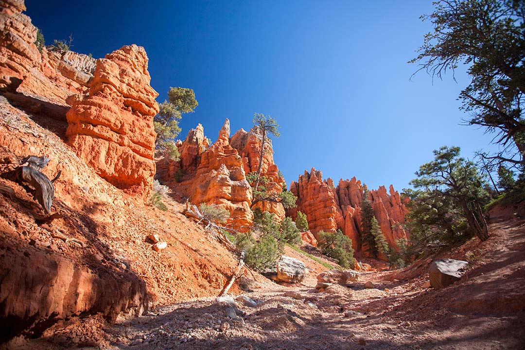 Hoodoos