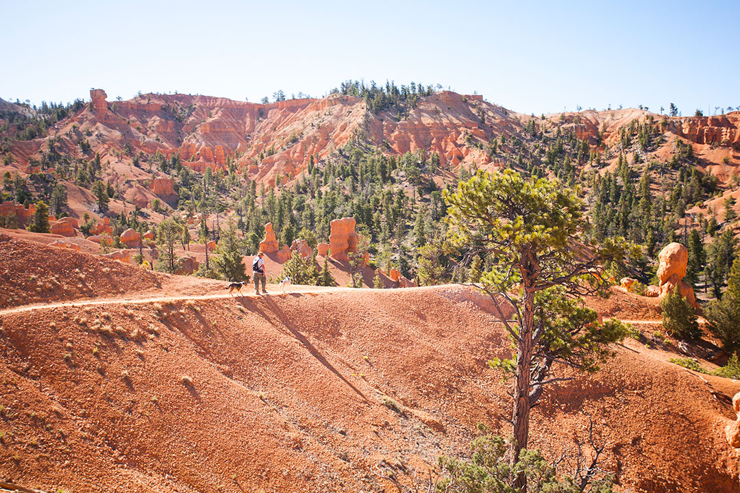 Trail on a ridge