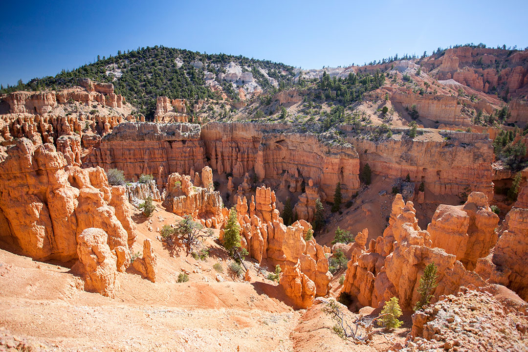 Hoodoos down in the canyon