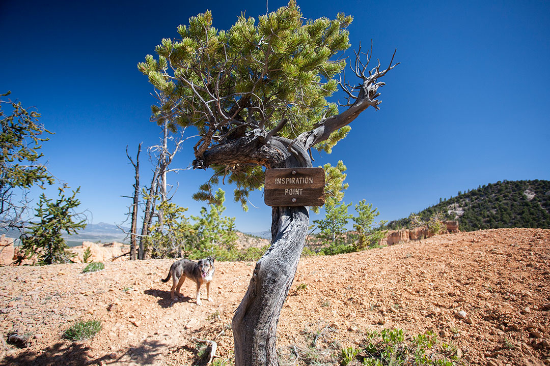 Sign at the end of the spur trail