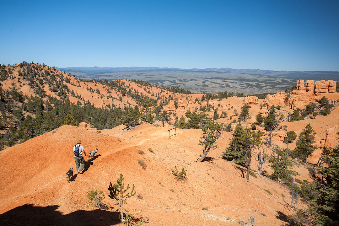 Descending from Inspiration Point