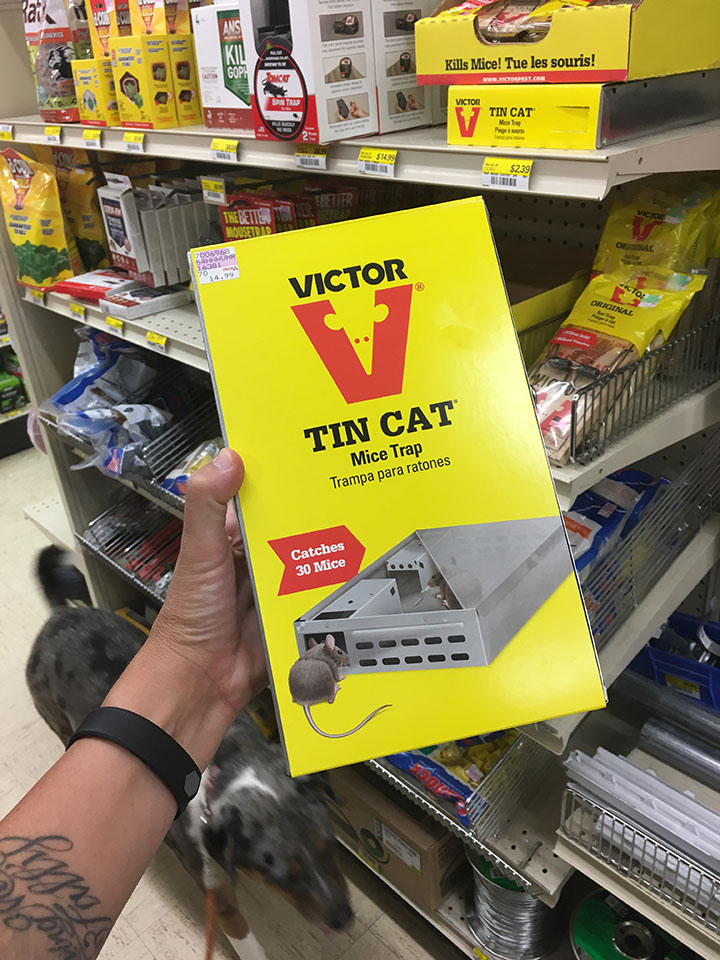 Victor Tin Cat mice trap