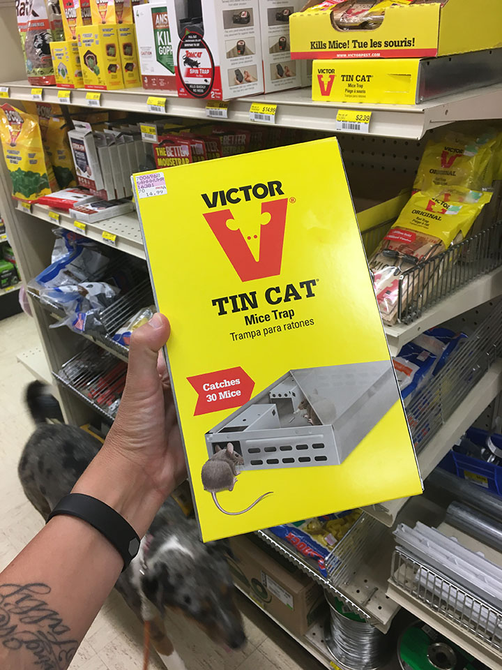 Victor Tin Cat Mouse Trap - Claims to Catch 30 Mice In One Night 