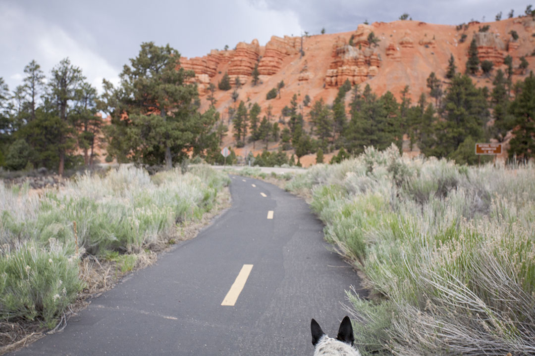 Bike path