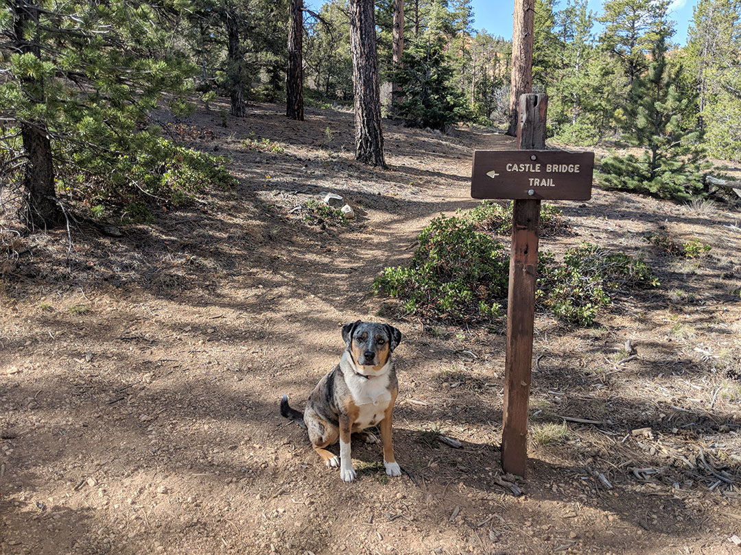 Castle Bridge Trail sign