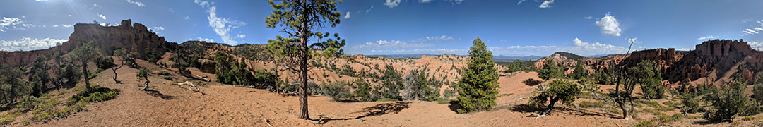 The view from the top of Castle Bridge Trail