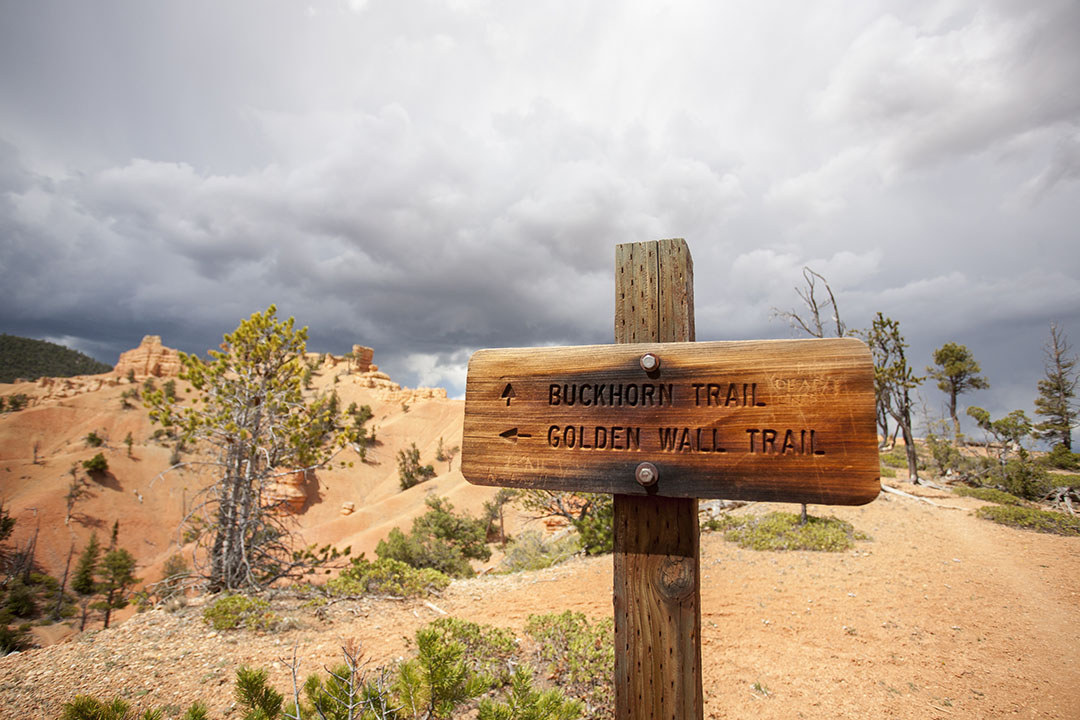 Storm clouds behind a trail sign