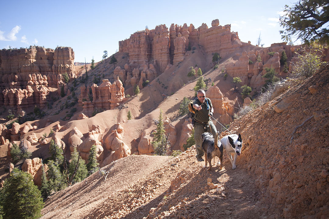 Lily going the wrong way on a narrow trail