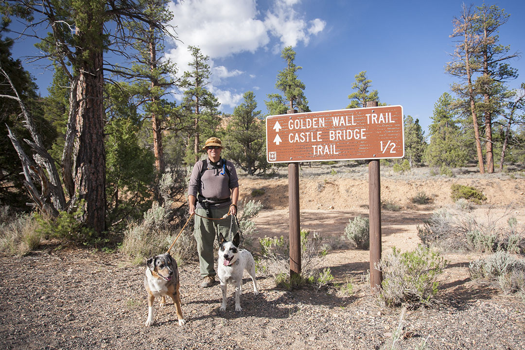 Trailhead sign