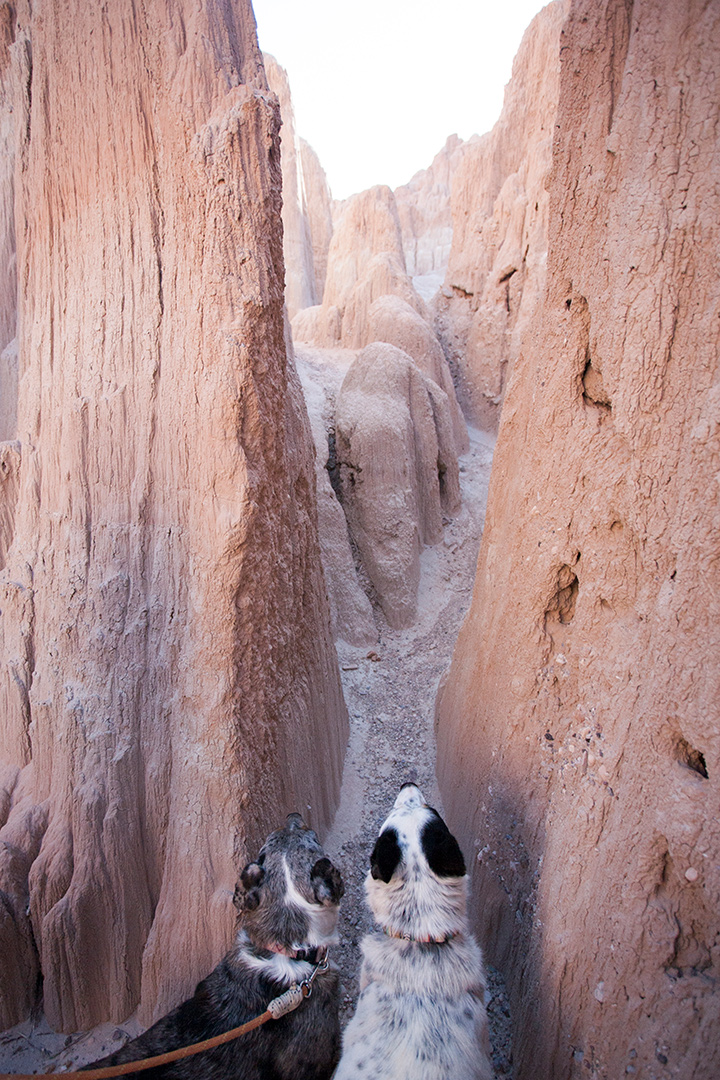 Rush hour traffic in a slot canyon