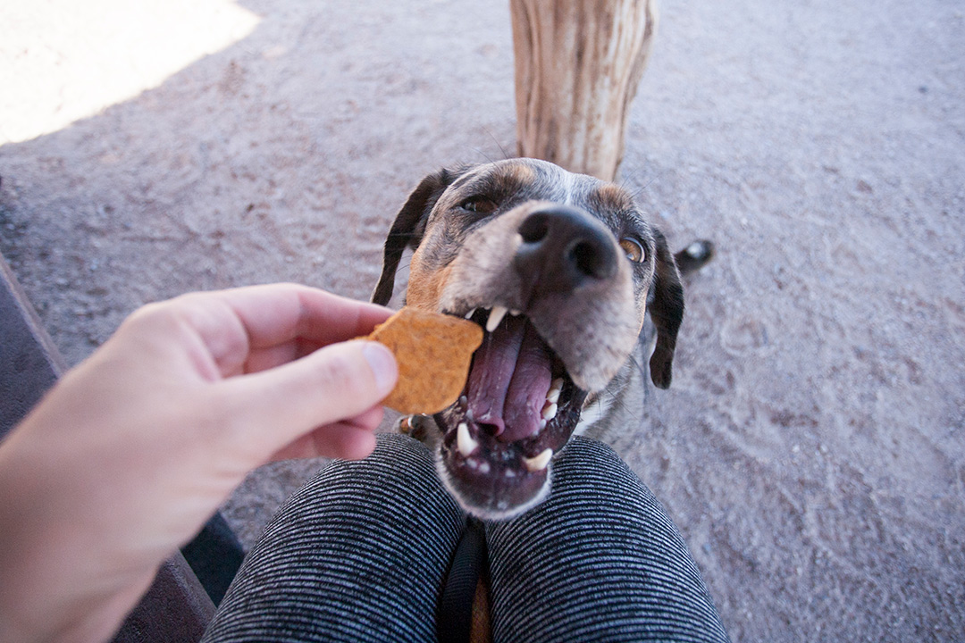 This is why Lily loves hiking