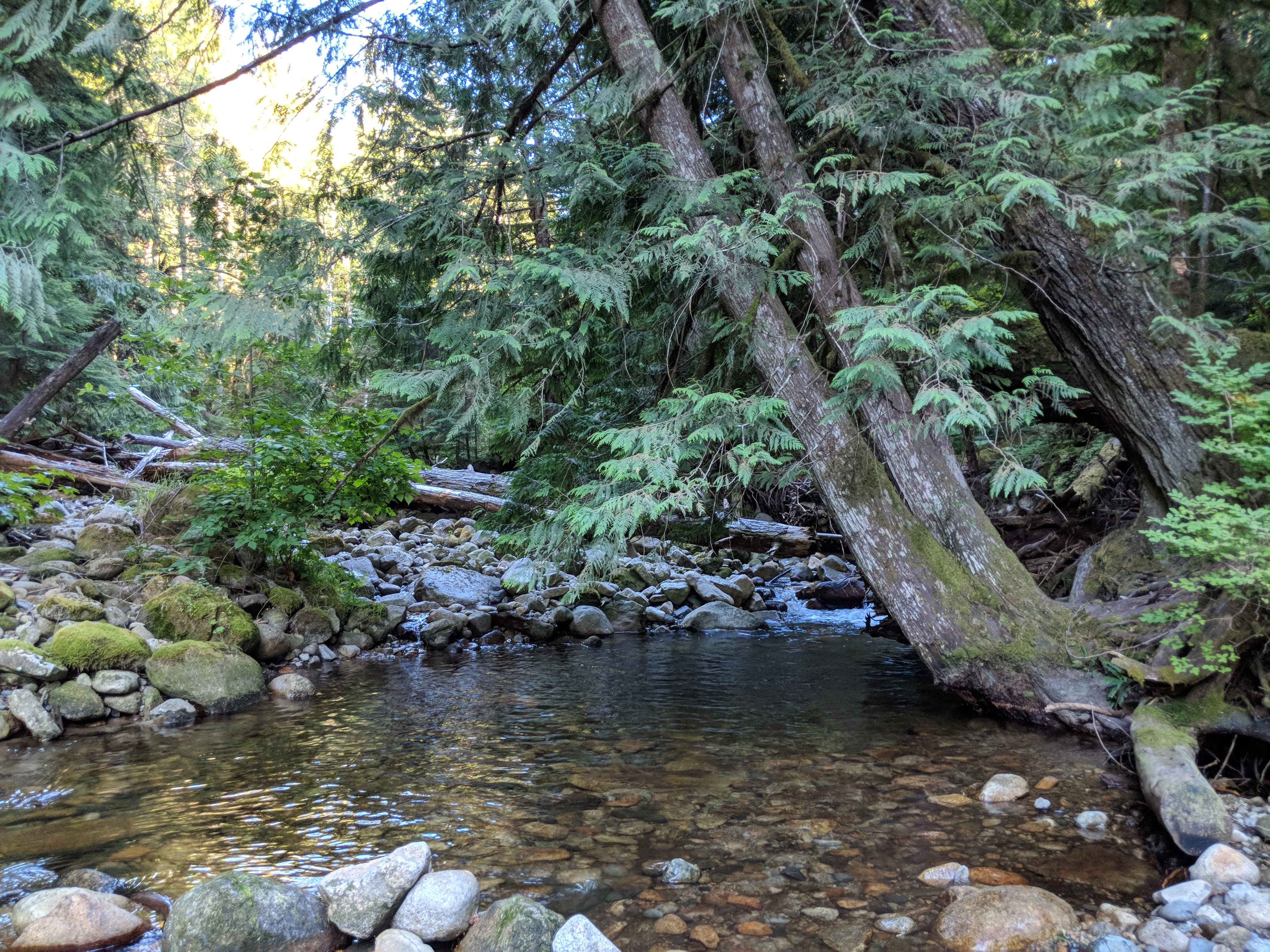 You could dunk here to cool off on a hot day