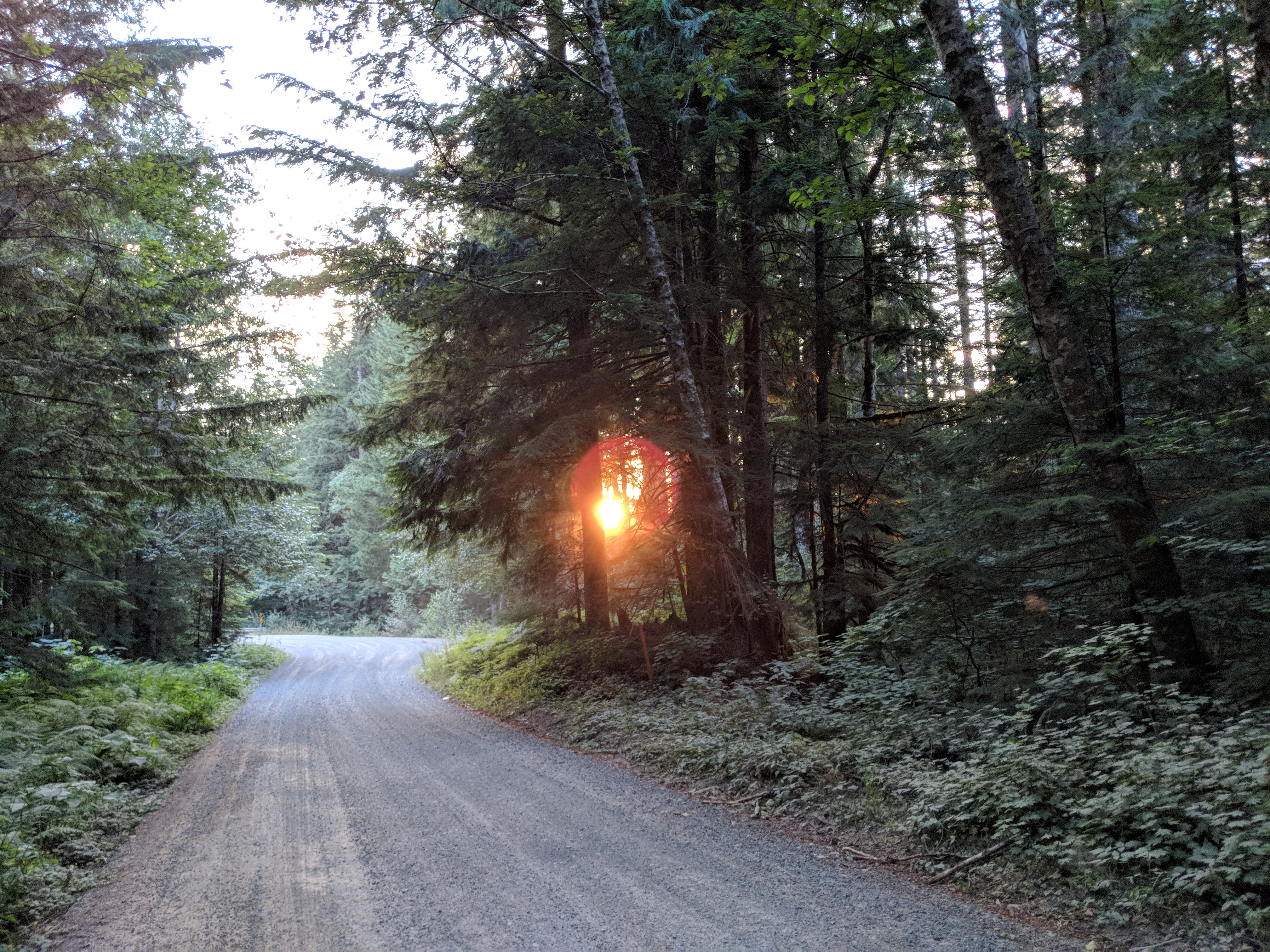 Sunset along the road