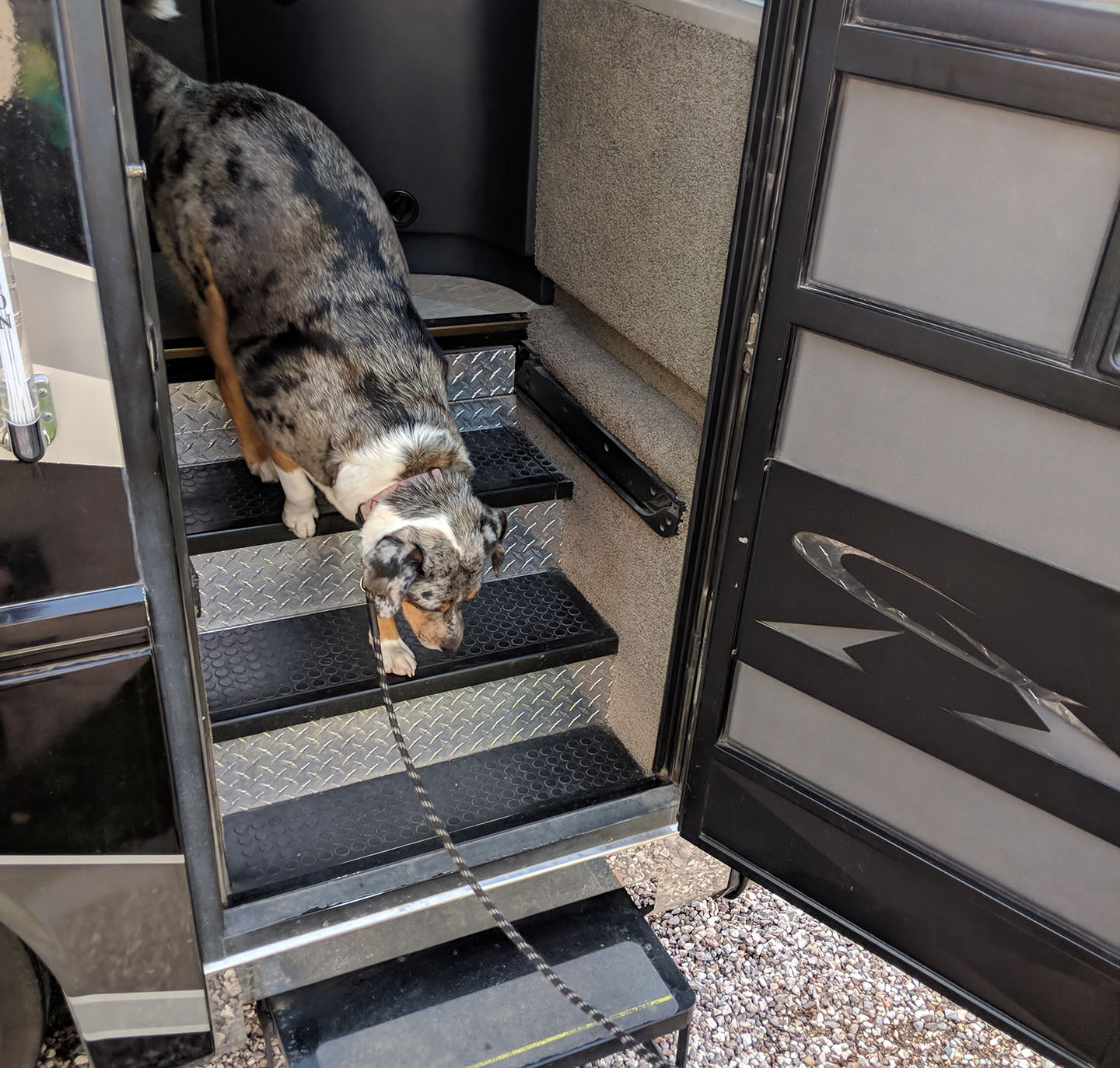 Lily walking down the stairs