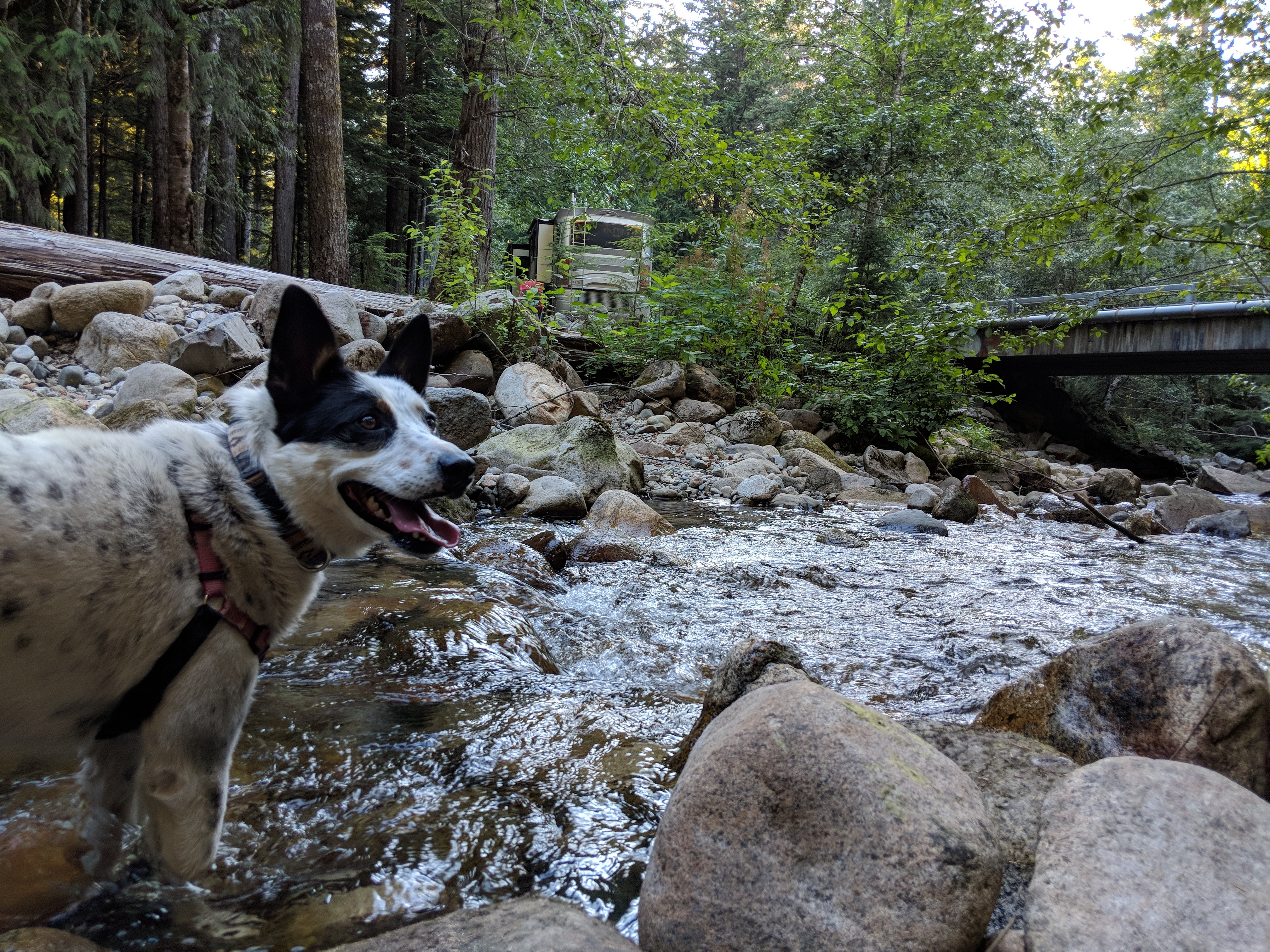 This creek is Mushy Approved(tm)