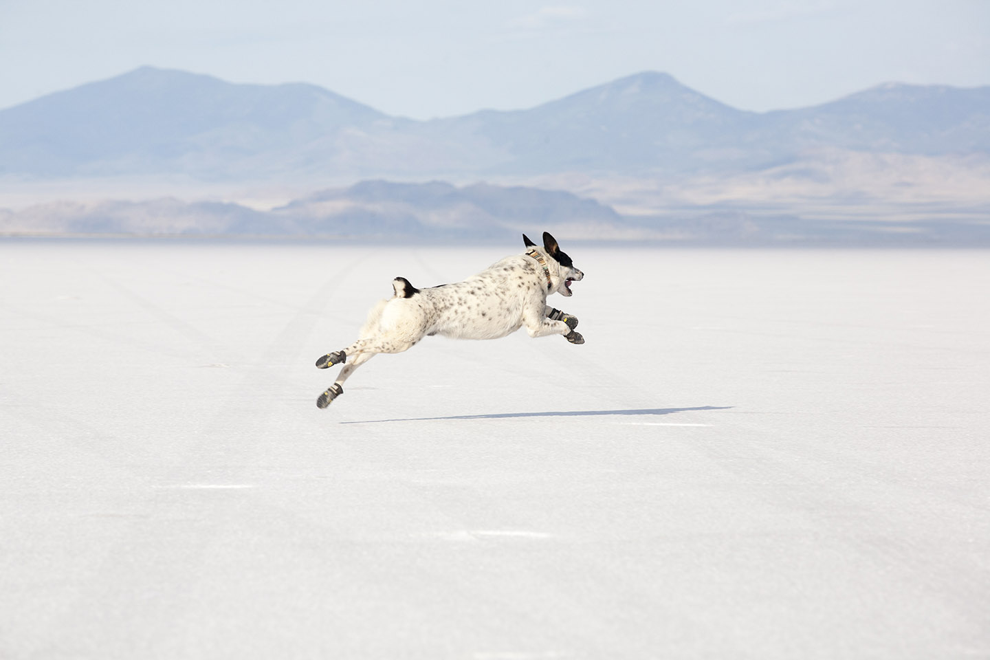 Bonneville Salt Flats