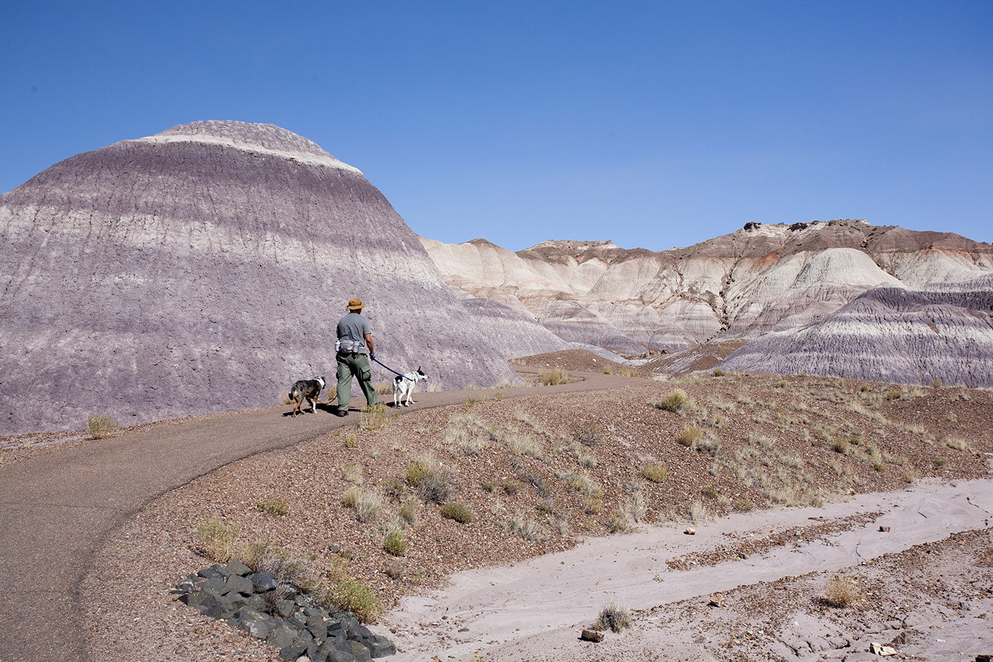 Petrified Forest