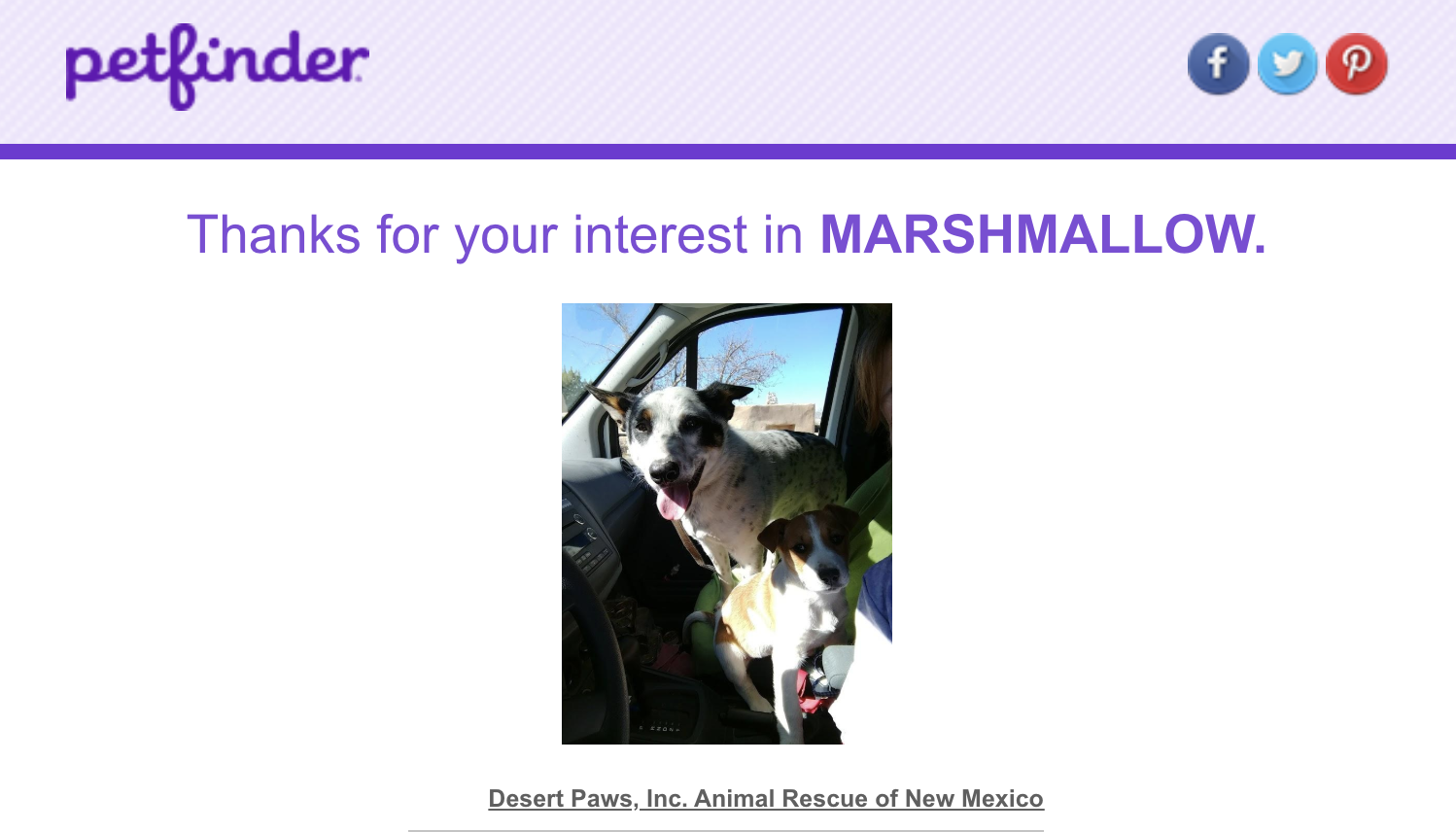 Marshmallow's adoption profile