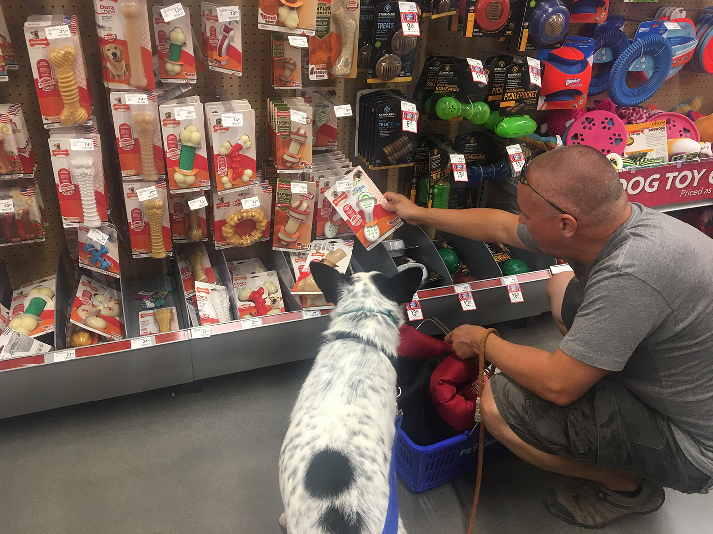 Mushy browsing for chewies