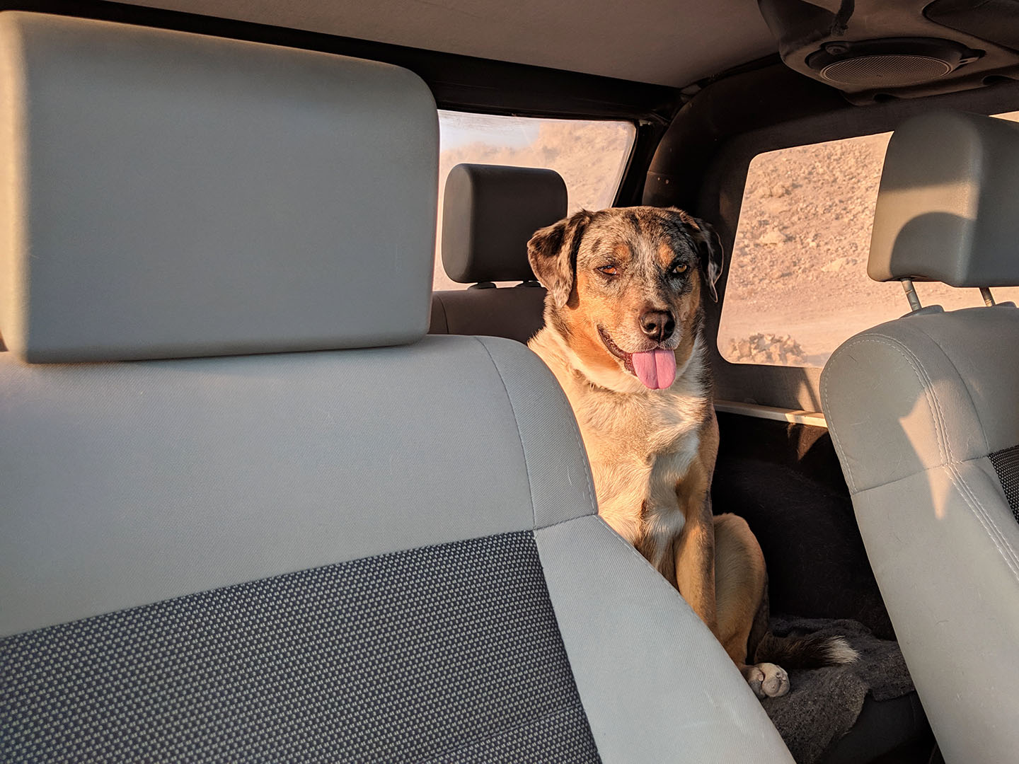 Lily riding on the backseat