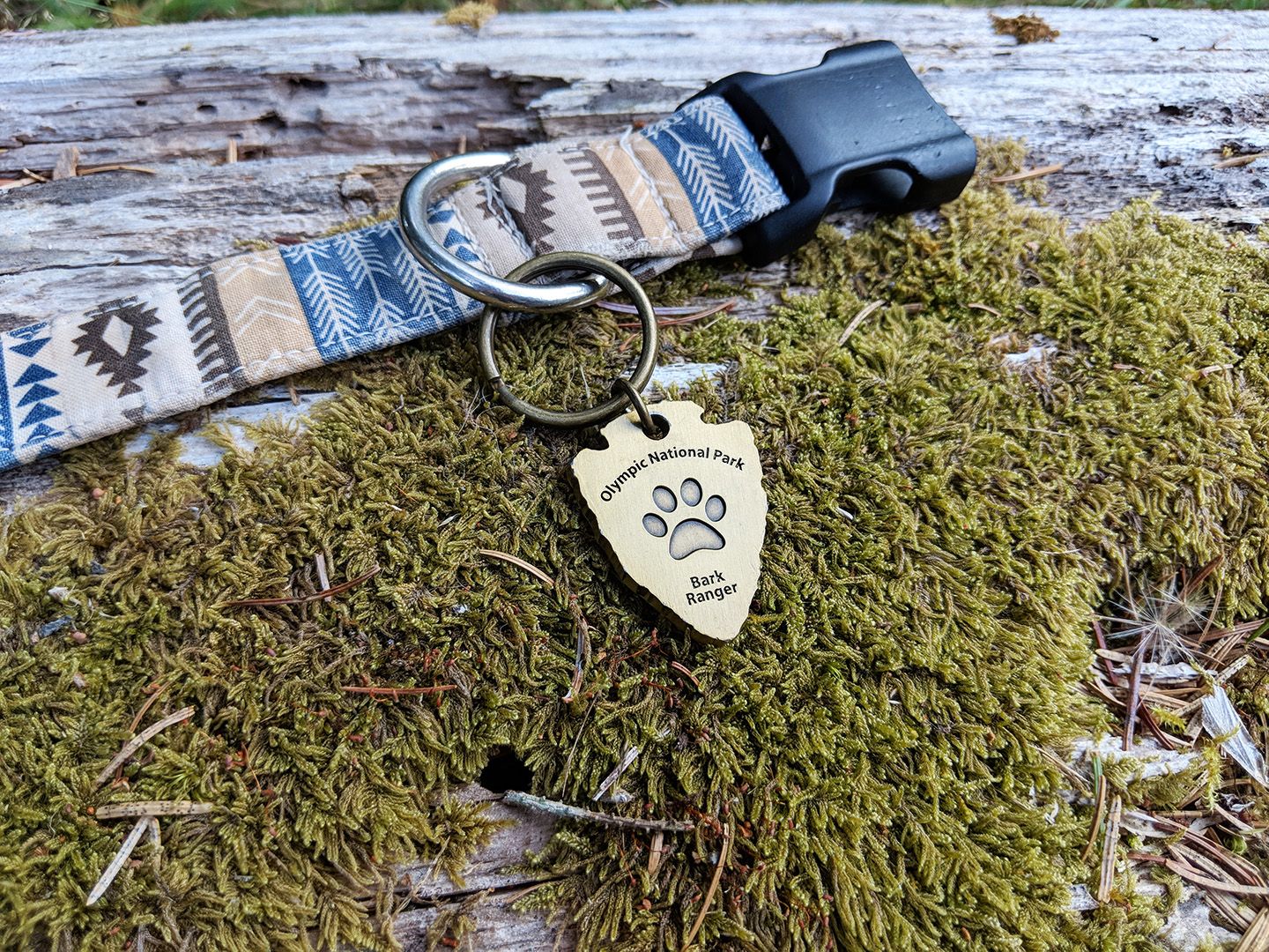 Grand Canyon NPS on X: Do you think your pup can become a BARK Ranger? All  it takes is four simple rules: BAG your poop! ALWAYS keep your pet on a  leash!