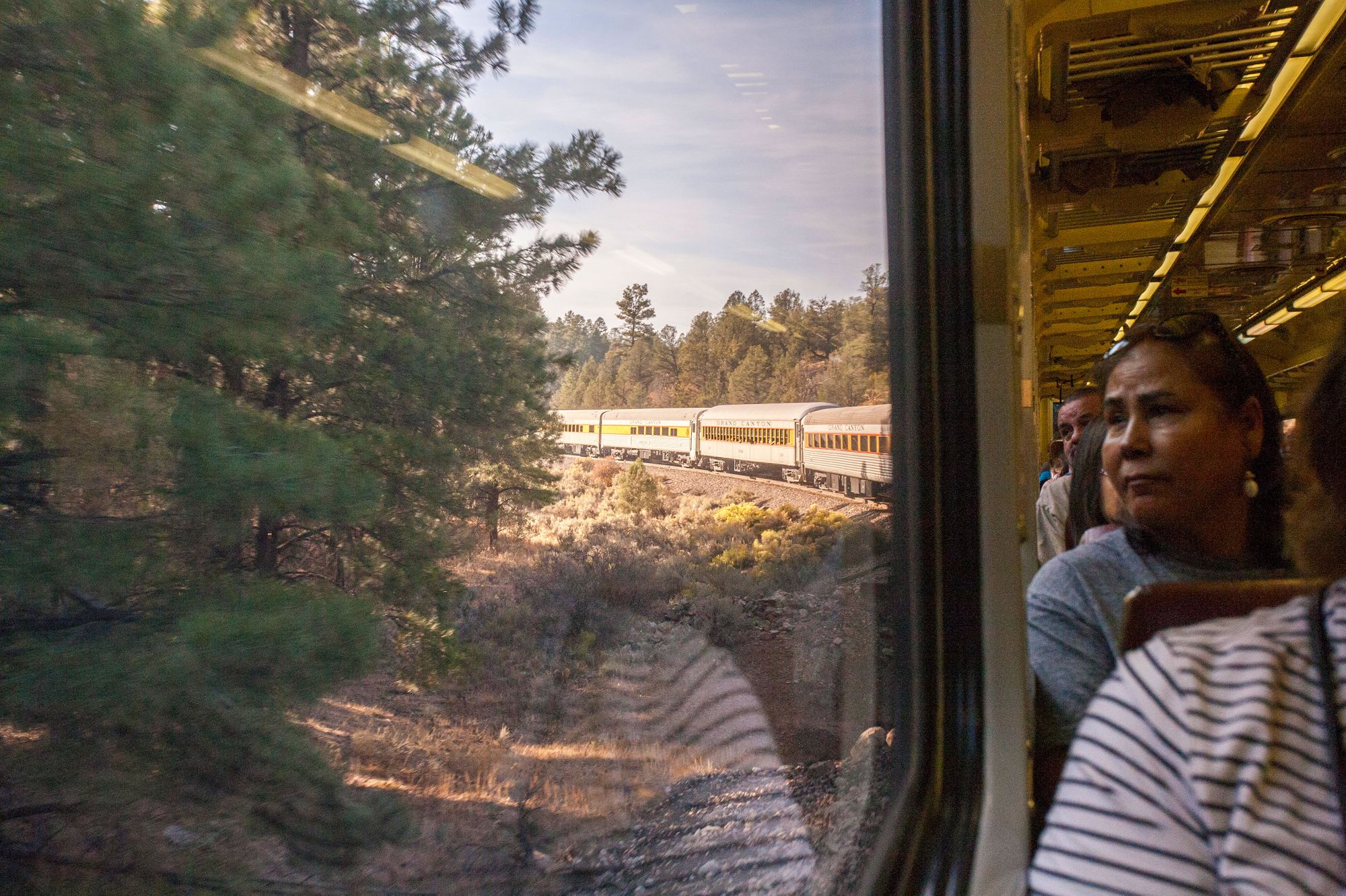 are dogs allowed on the grand canyon train