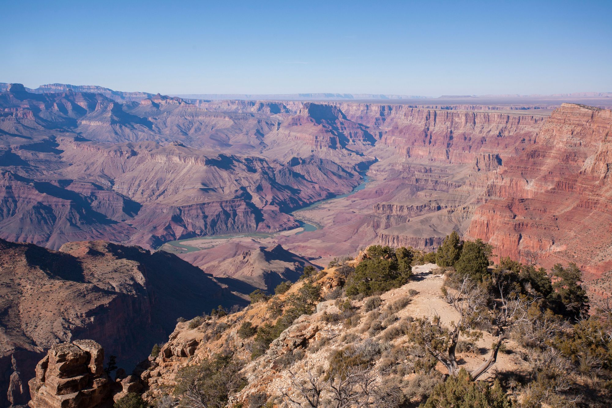 are dogs allowed on the grand canyon train