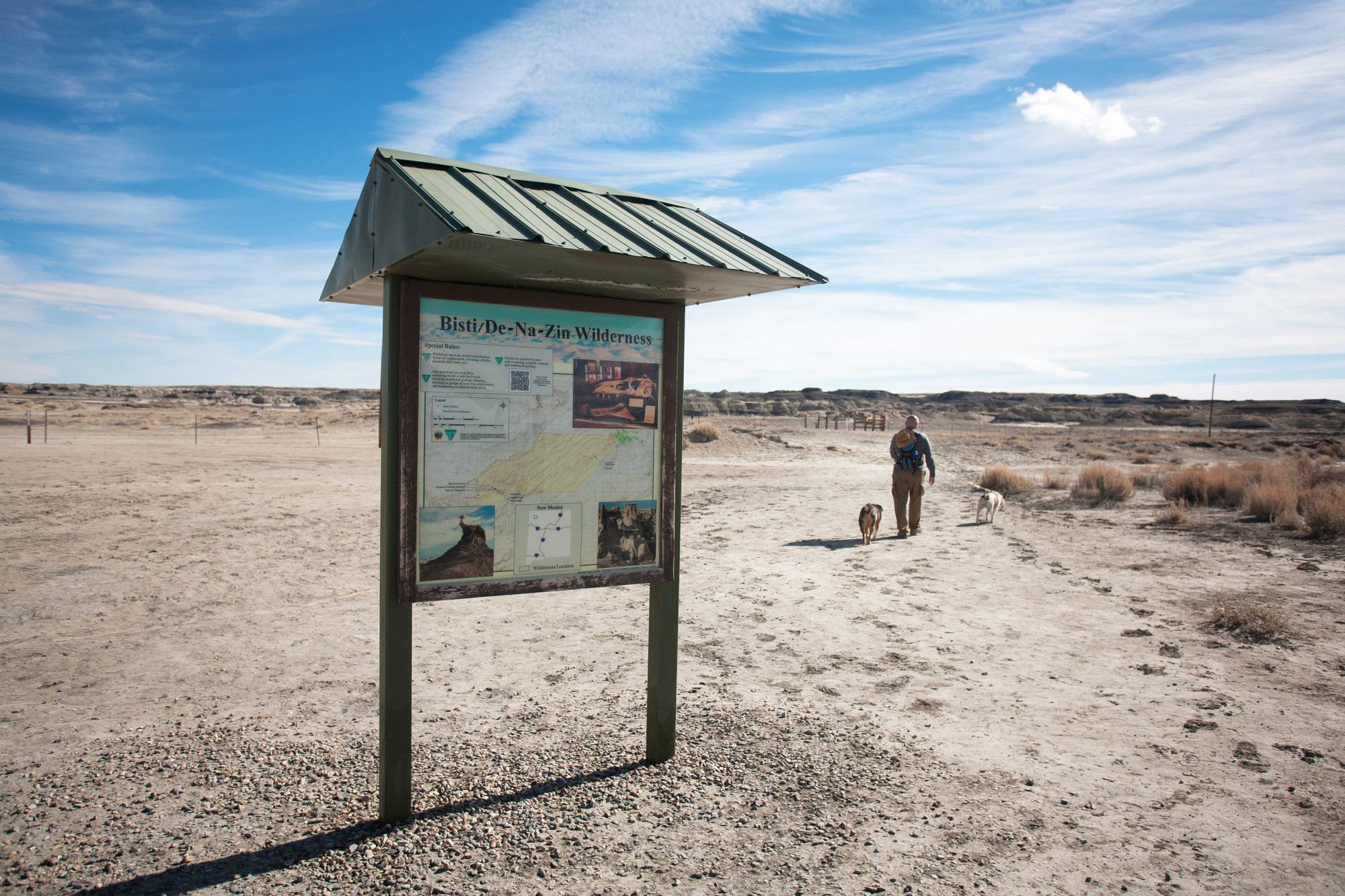 Dog-Friendly Day Trip to New Mexico's Bisti Badlands