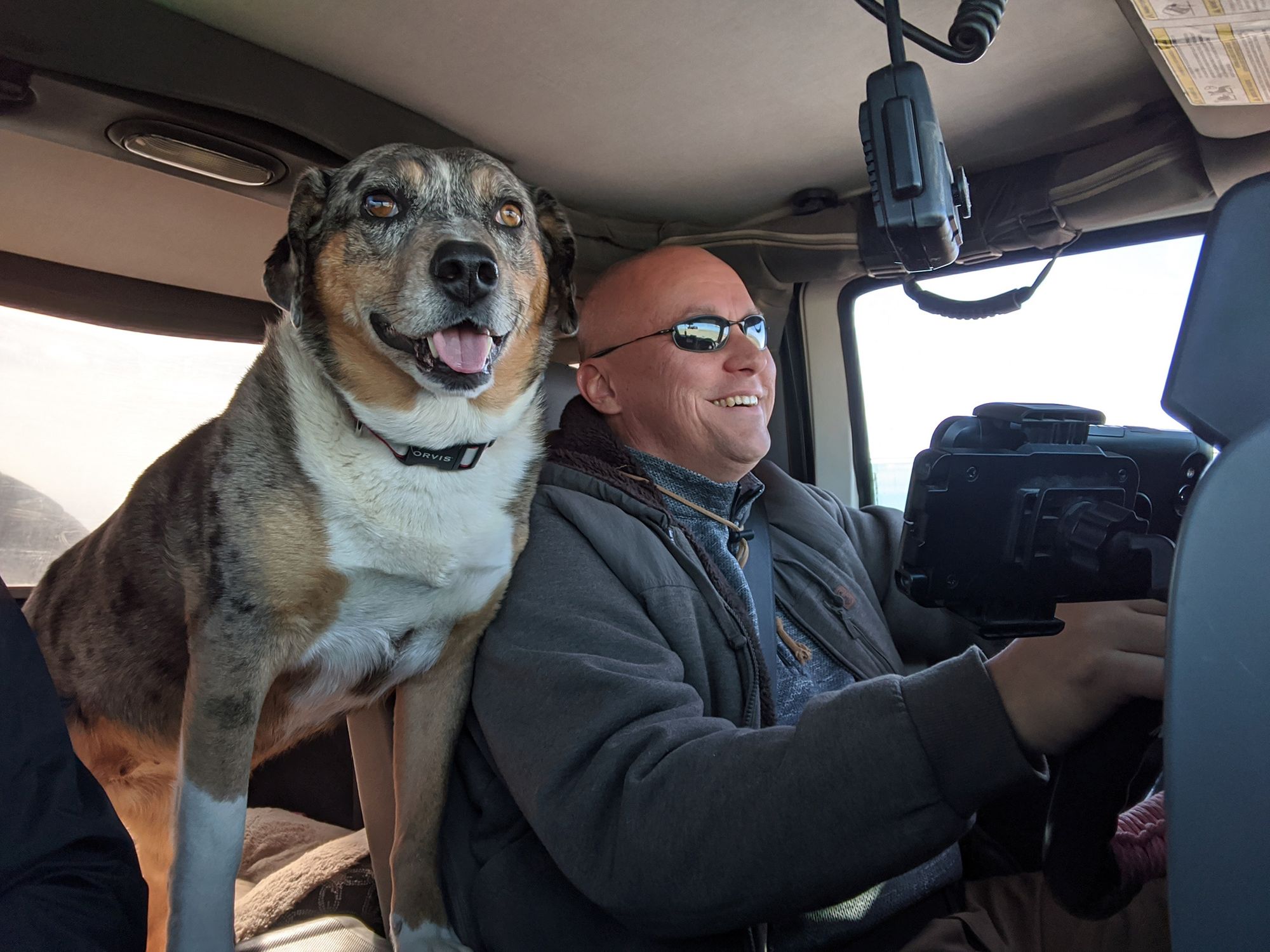 Dog-Friendly Day Trip to New Mexico's Bisti Badlands