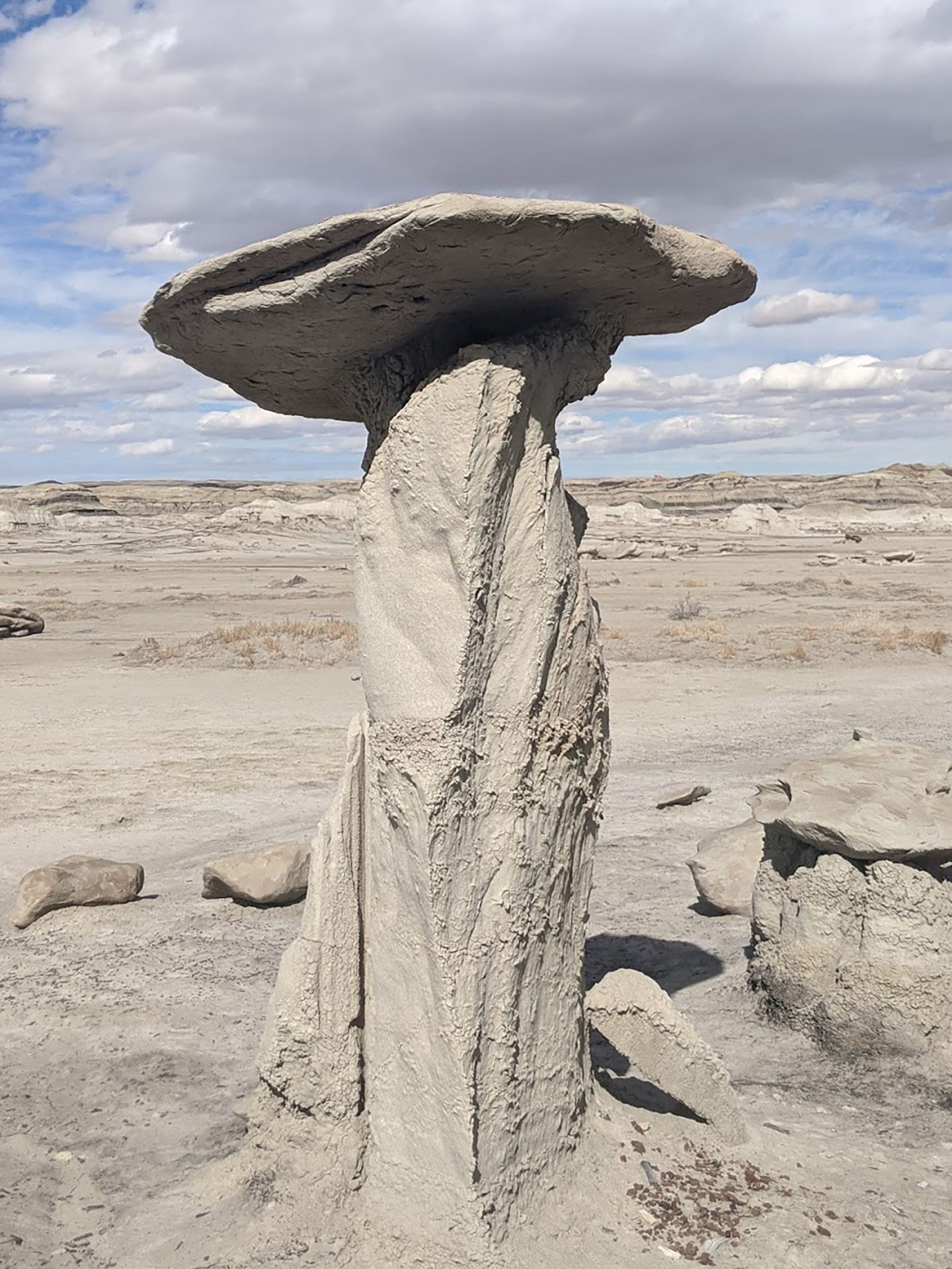 Dog-Friendly Day Trip to New Mexico's Bisti Badlands