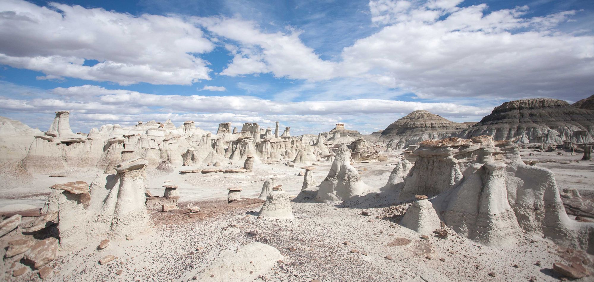 Dog-Friendly Day Trip to New Mexico's Bisti Badlands